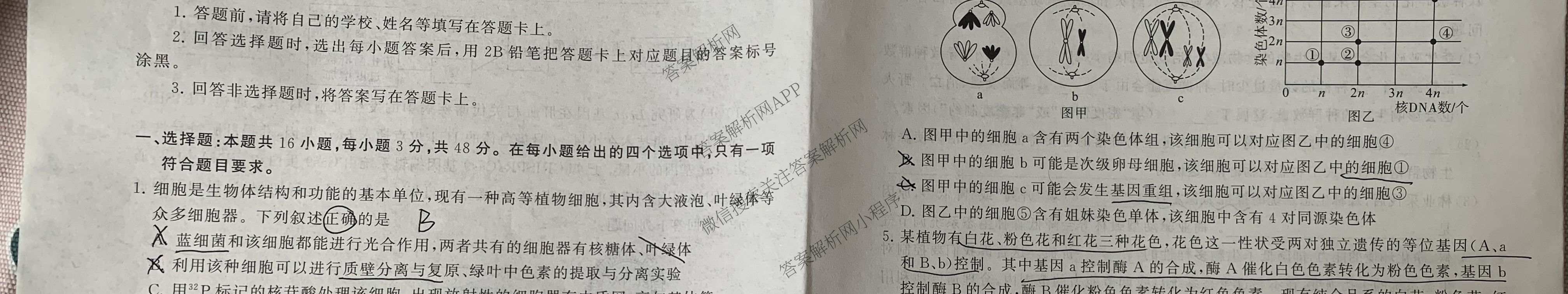 冲刺新高考2026届高考仿真训练(T8)(五)5各科答案及试卷: 含生物(河南专版)、物理(河北专版)、物理(陕晋青宁专版)试卷解析生物试题
