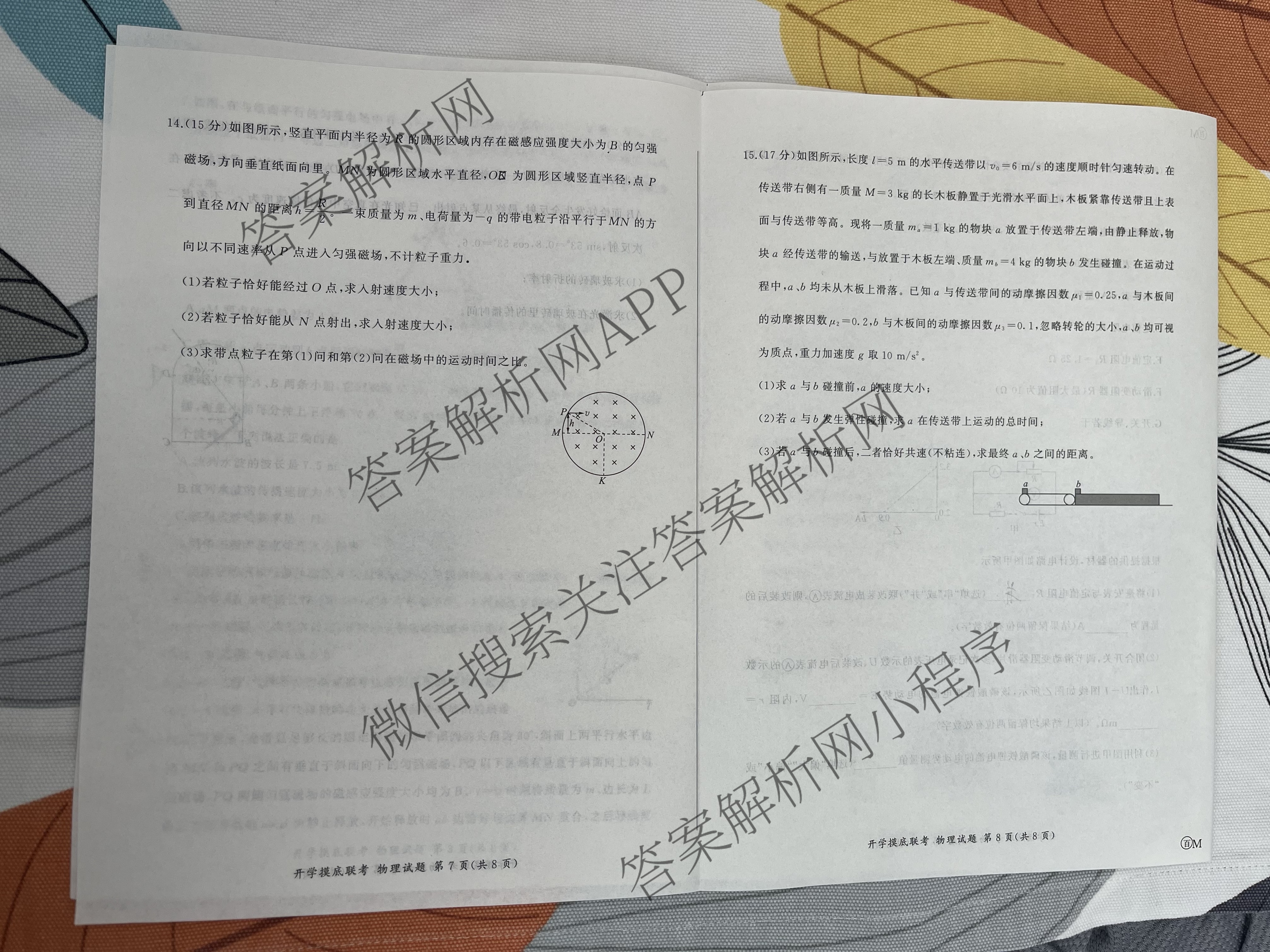 百师联盟2026届高三开学摸底联考(已更新物理(百C) 物理(百E) 地理(S)等56份)物理试题