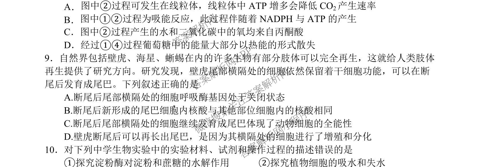 射洪中学高2023级高三上期期中考试试卷及答案汇总(已更新地理 物理 语文等9份)生物试题