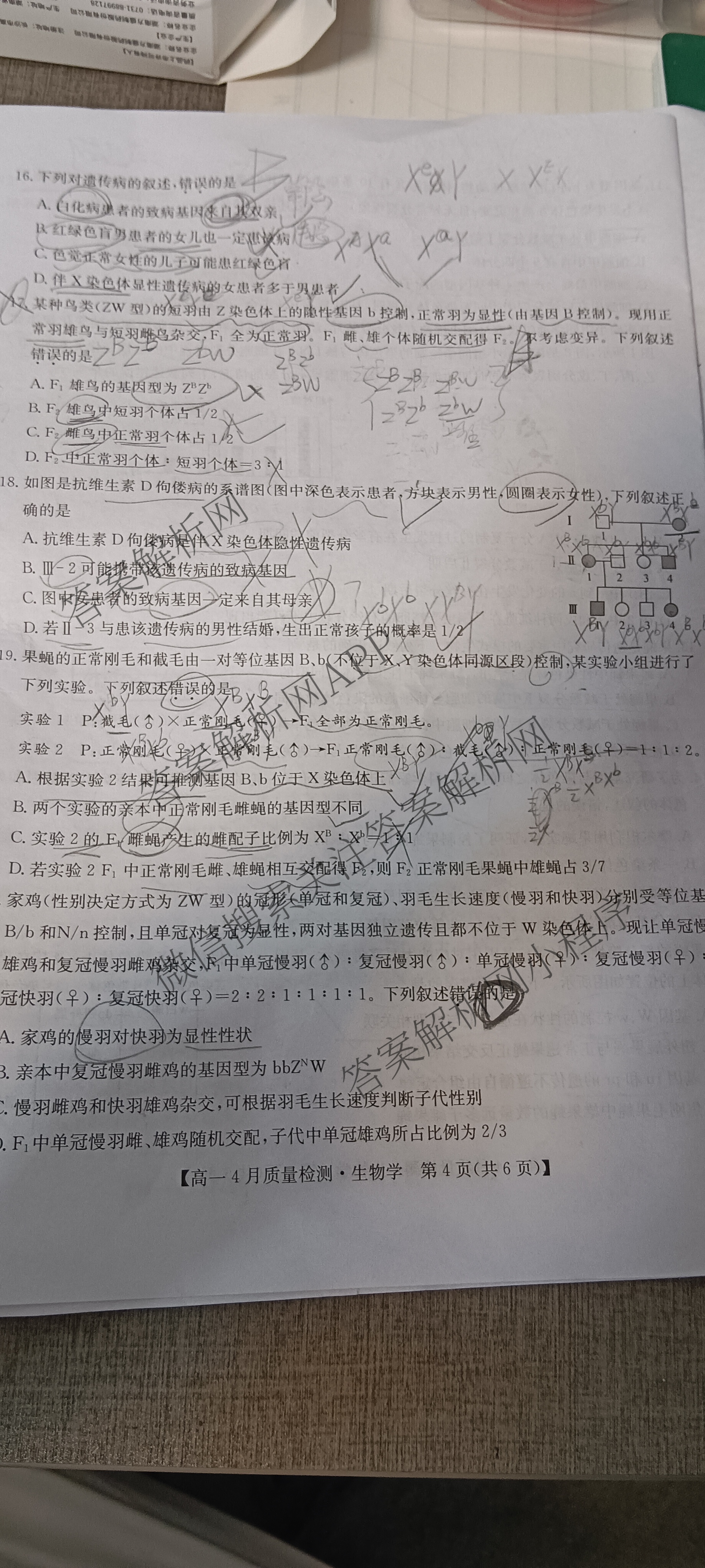 九师联盟2024-2025学年度高一4月质量检测各科答案及试卷: 含生物(B) 化学(人教) 英语试卷解析生物试题
