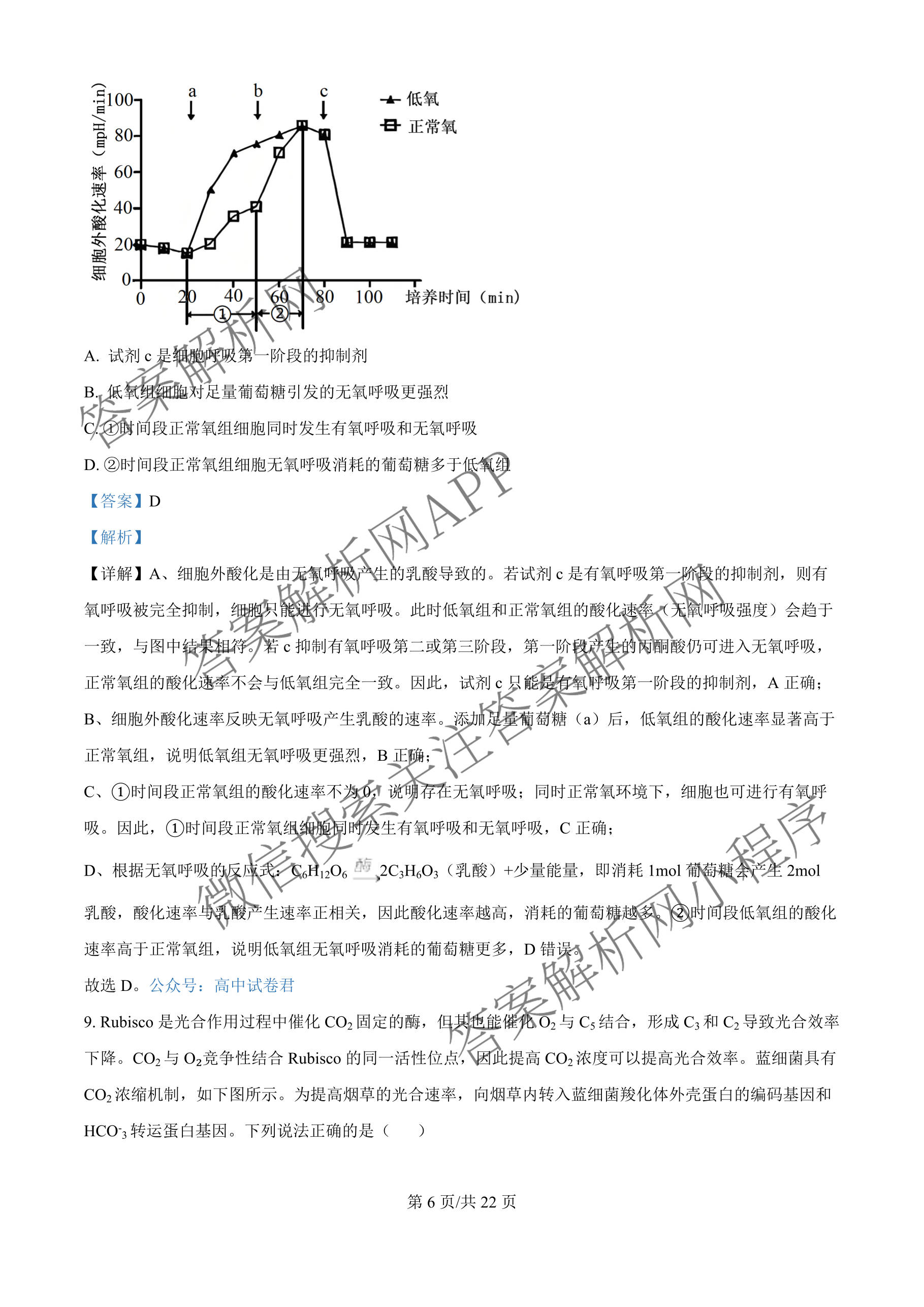 哈师大附中2023级高三上期中考试（含历史 英语 语文等）生物答案