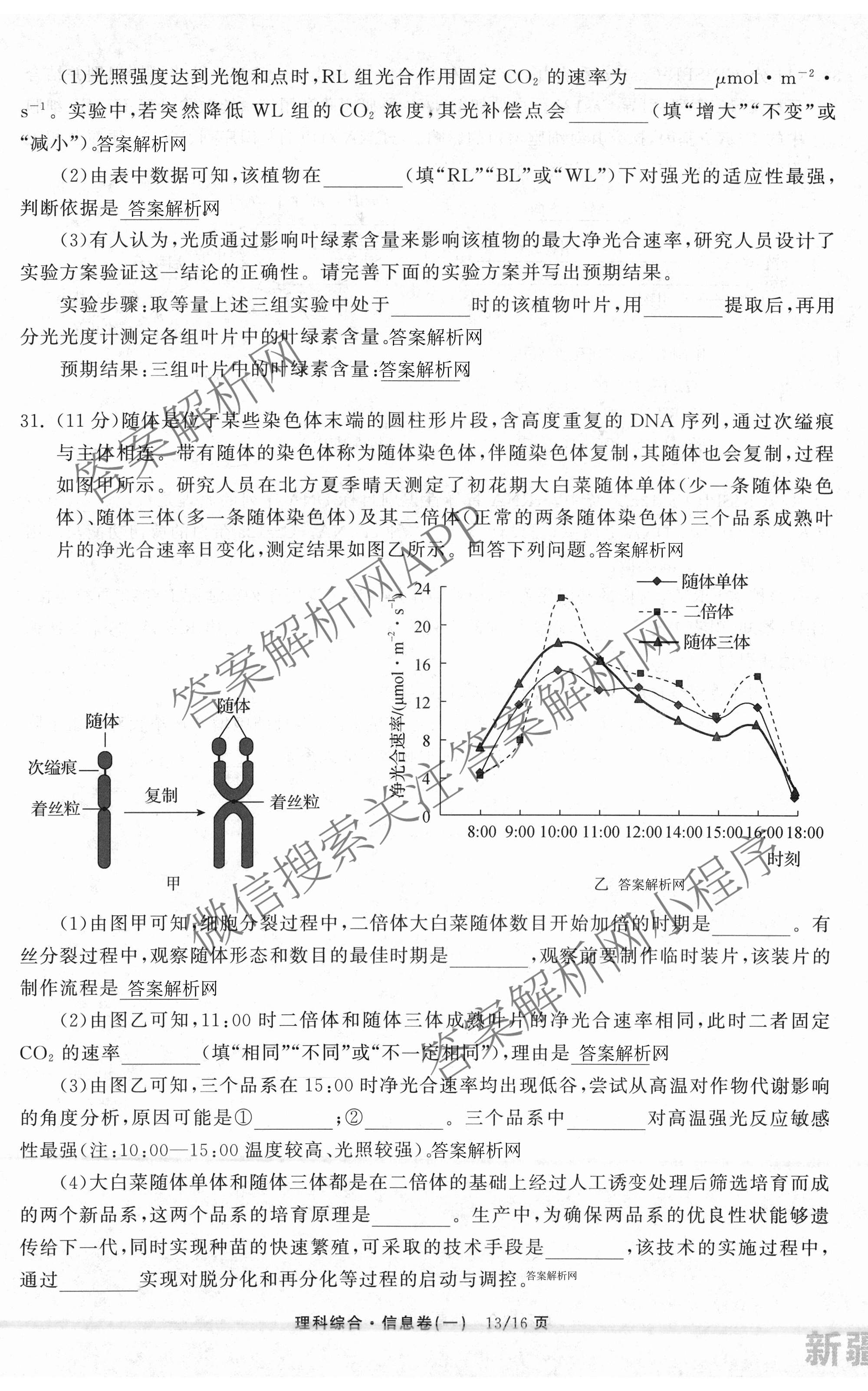 天舟高考衡中同卷2026年普通高等学校招生全国统一考试模拟信息卷(一)1各科答案及试卷（含历史(WS)、政治(XB)、物理(安徽版)等）理综试题