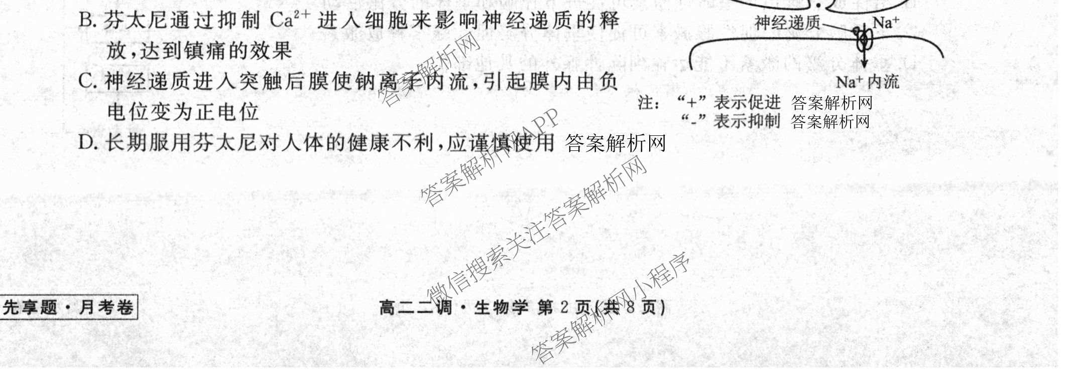 衡水金卷先享题月考卷2025-2026学年度上学期高二年级二调考试（含化学(人教版) 历史 语文等）生物试题