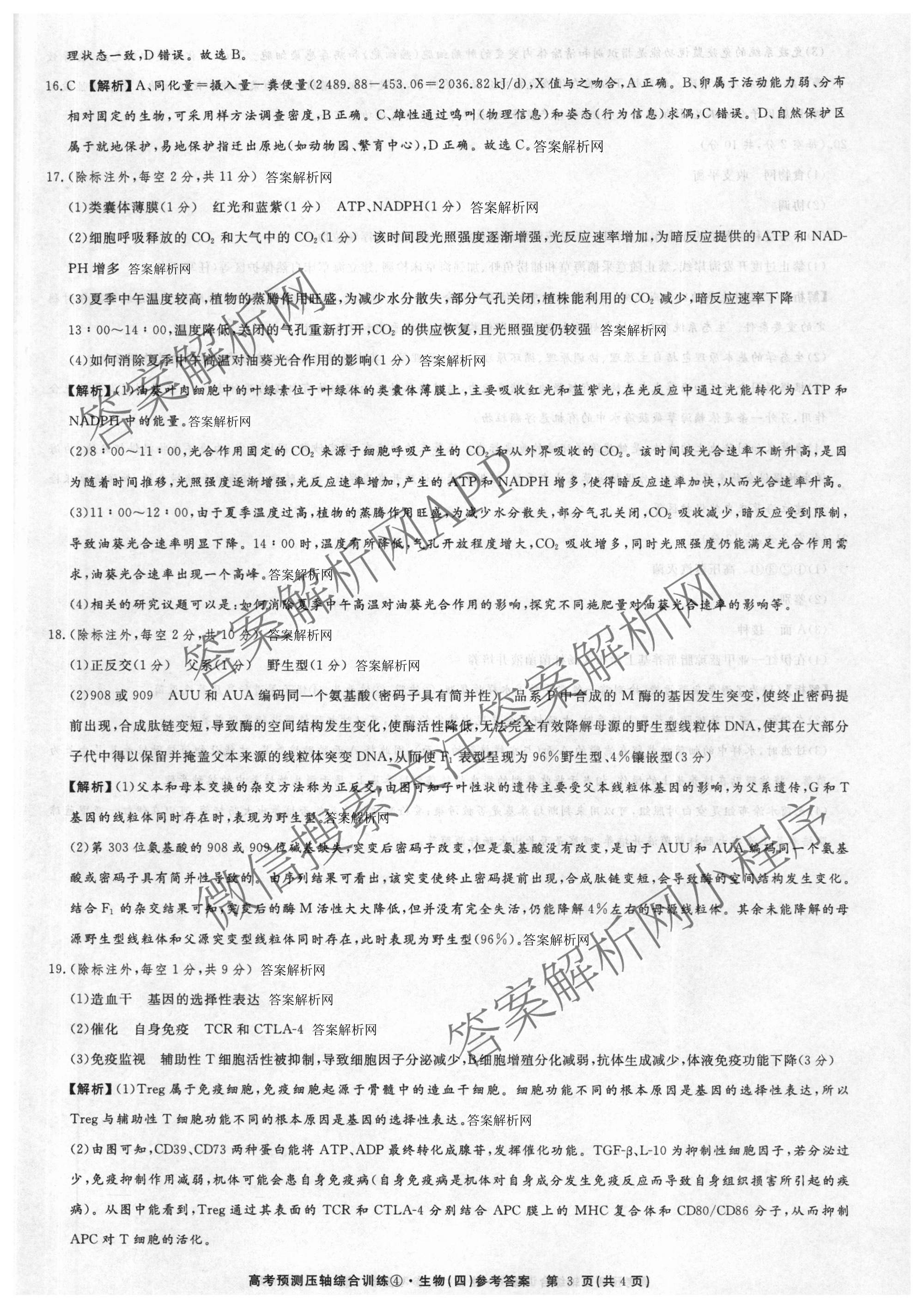2026届高考预测压轴综合训练(四)4各科答案及试卷: 含政治(4) 英语 物理(5)试卷解析生物答案