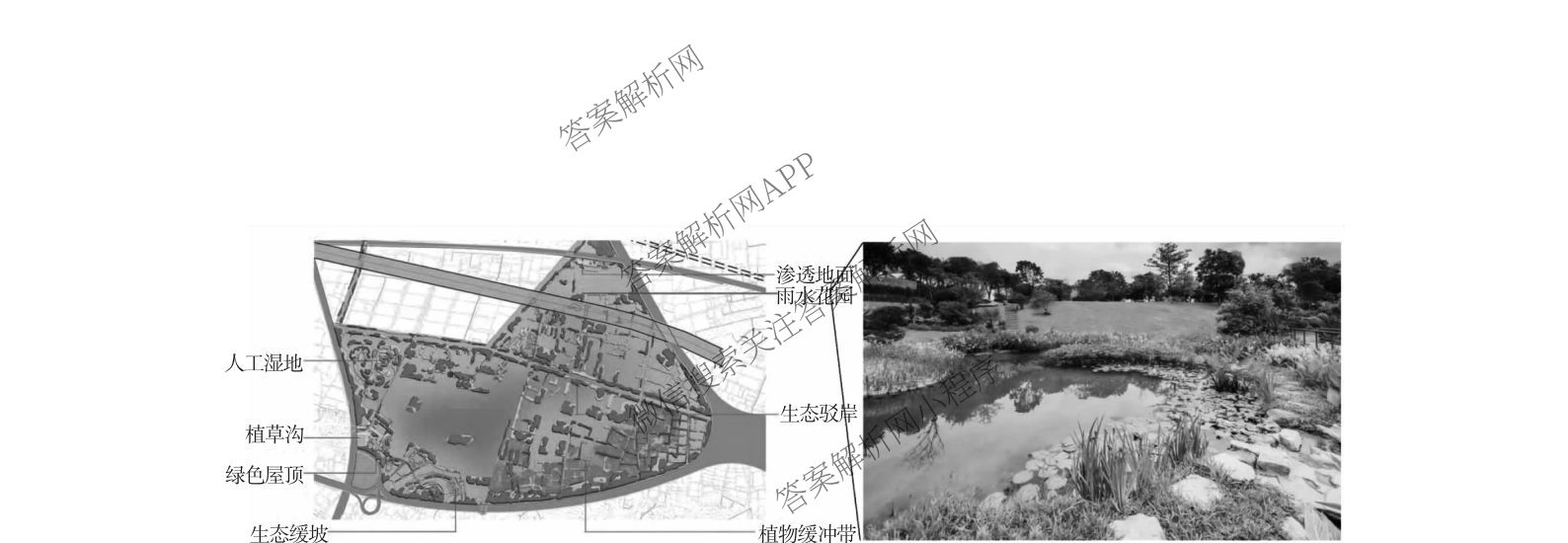 潜江市2024-2025年七月高二期末统一调研测试各科答案及试卷（含英语、生物、化学等10份）地理试题
