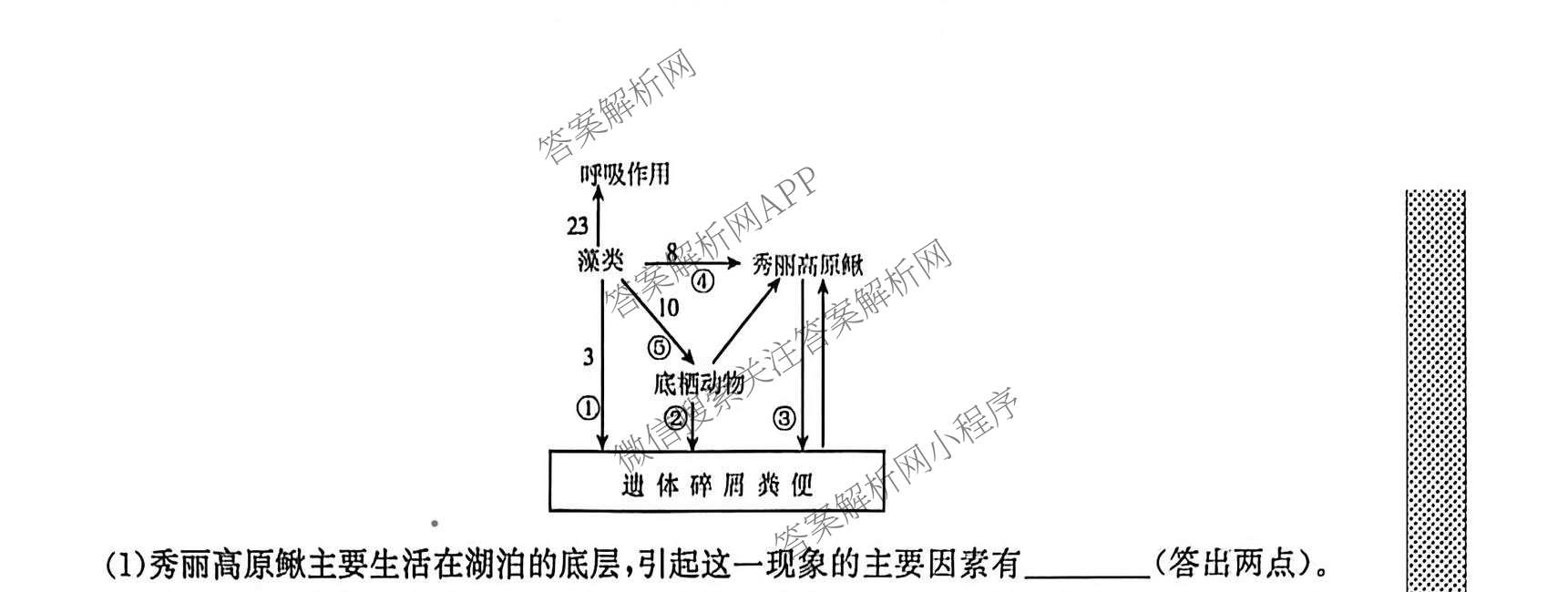 甘肃省临洮二中2026届能力提升训练卷(二)(6251C-2)各科答案及试卷（含语文 数学 政治等）生物试题