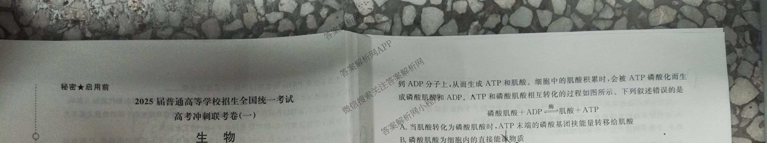 青桐鸣2025届普通高等学校招生全国统一考试高考冲刺联考卷(一)1各科答案及试卷（含地理、数学、生物等）生物试题