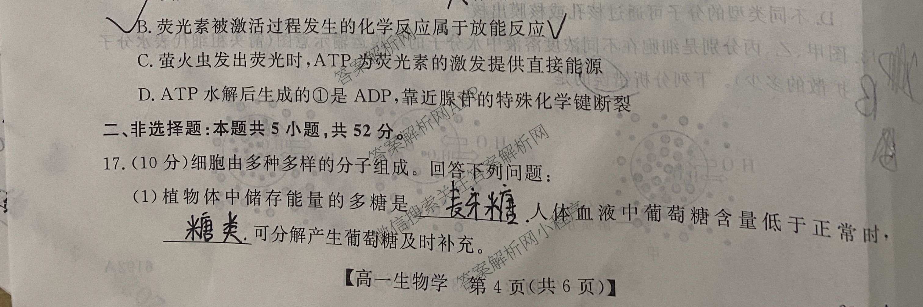 陕西省2025~2026第一学期12月质量检测高一(6192A)（含数学、生物、历史等）生物试题