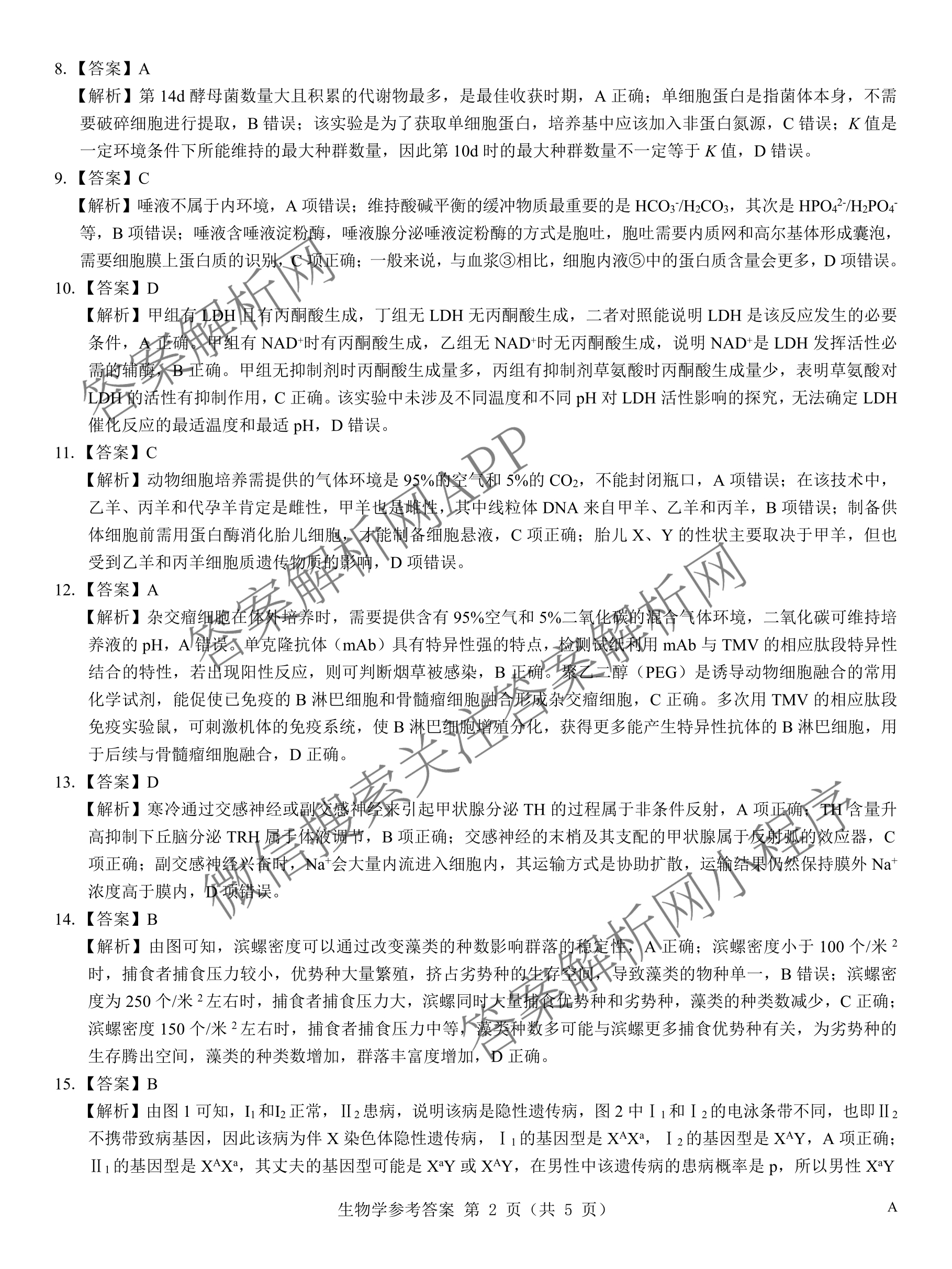 名校教研联盟2026届高考仿真模拟卷(样卷)试卷及答案汇总(含英语 物理(A) 地理(A)等)生物答案 名校教研联盟2026届高考仿真模拟卷(样卷)试卷及答案汇总(含英语 物理(A) 地理(A)等)生物答案