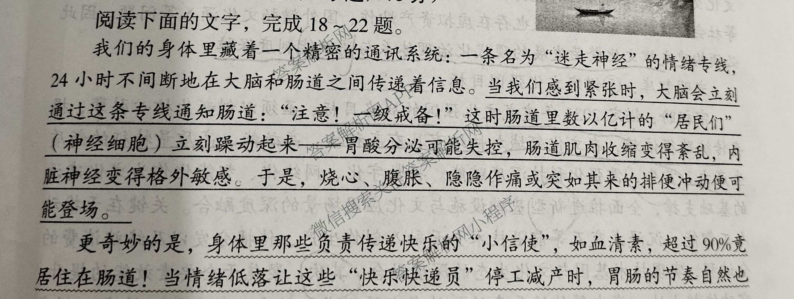 1号卷A10联盟2026届高考原创预测卷(三)3试卷及答案汇总: 含语文、物理、政治试卷解析语文试题