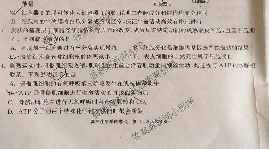 陕西省2027届高三开学考试(标题：高三科目试卷)（含化学(C) 数学 物理(A)等）生物试题