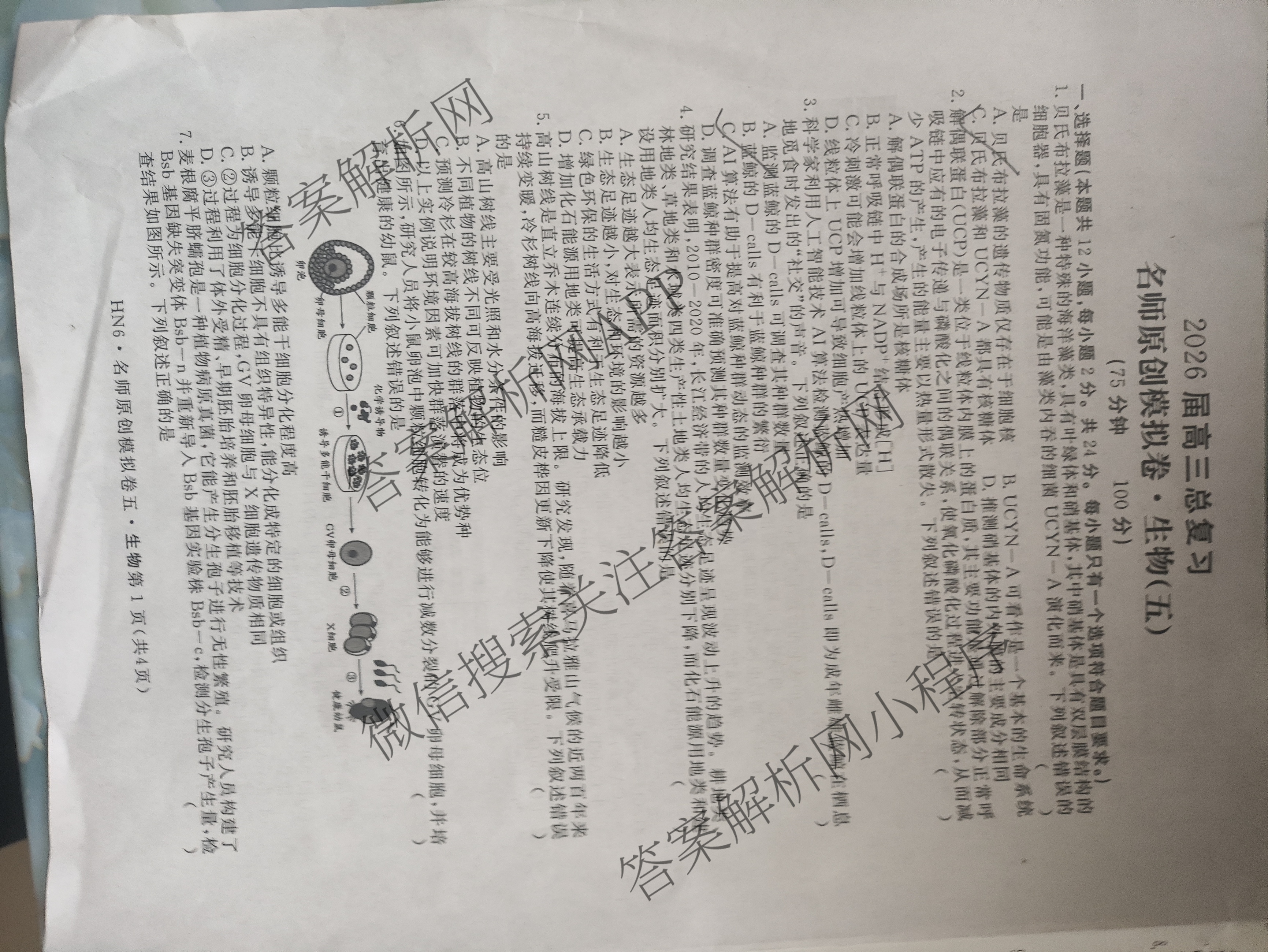 2026届高三总复习名师原创模拟(五)5(已更新地理(XS6J) 生物(XS6JG) 物理(XS6J)等39份)生物试题