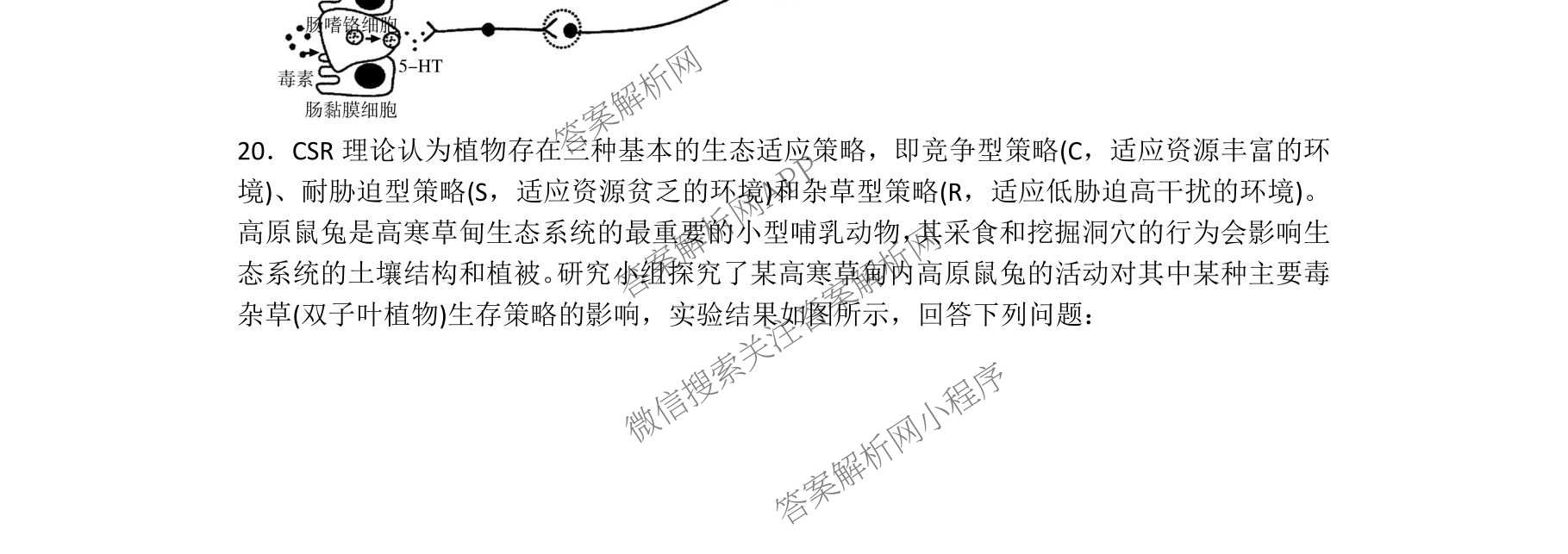 开卷文化2026普通高等学校招生统一考试冲刺卷(HN)(一): 含历史、地理、生物试卷解析生物试题