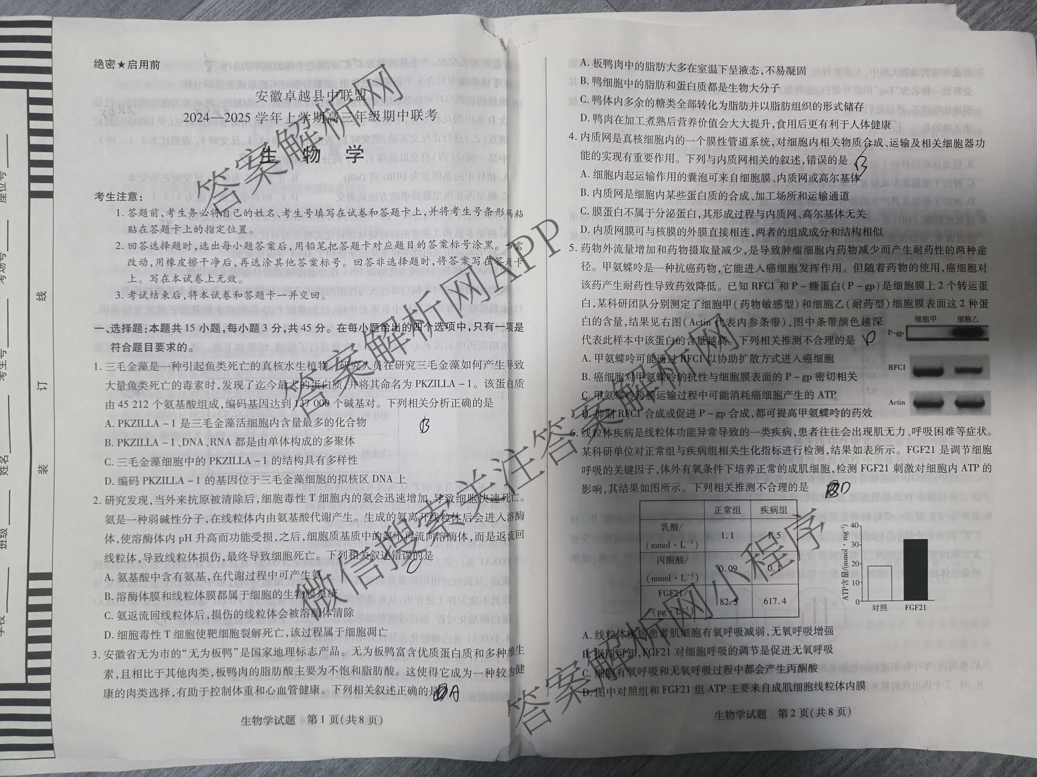 安徽卓越县中联盟2024-2025学年上学期高三年级期中联考各科答案及试卷（含物理 数学 语文等9份）生物试题