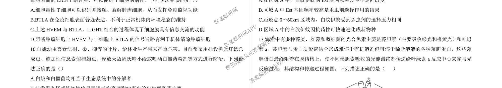 2026届河北省模拟联考(4.2)各科答案及试卷（含化学、地理、历史等）生物试题