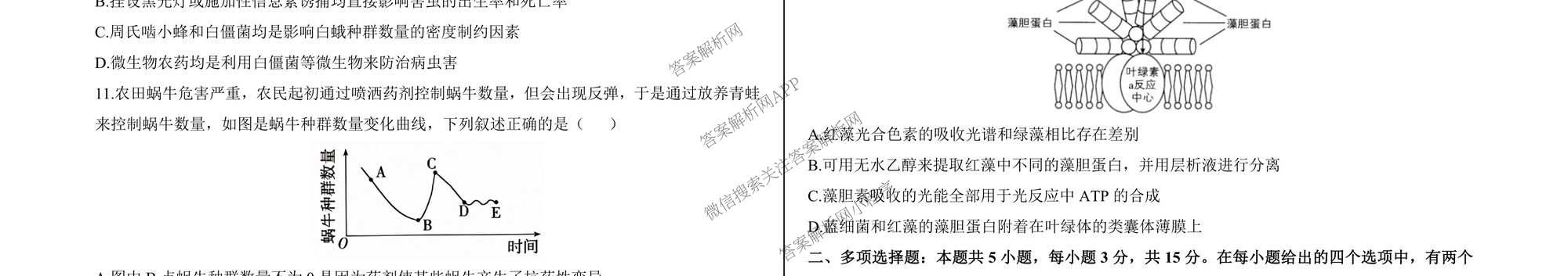 2026届河北省模拟联考(4.2)各科答案及试卷（含化学、地理、历史等）生物试题