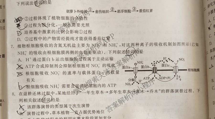 陕西省2027届高三开学考试(标题：高三科目试卷)（含化学(C) 数学 物理(A)等）生物试题