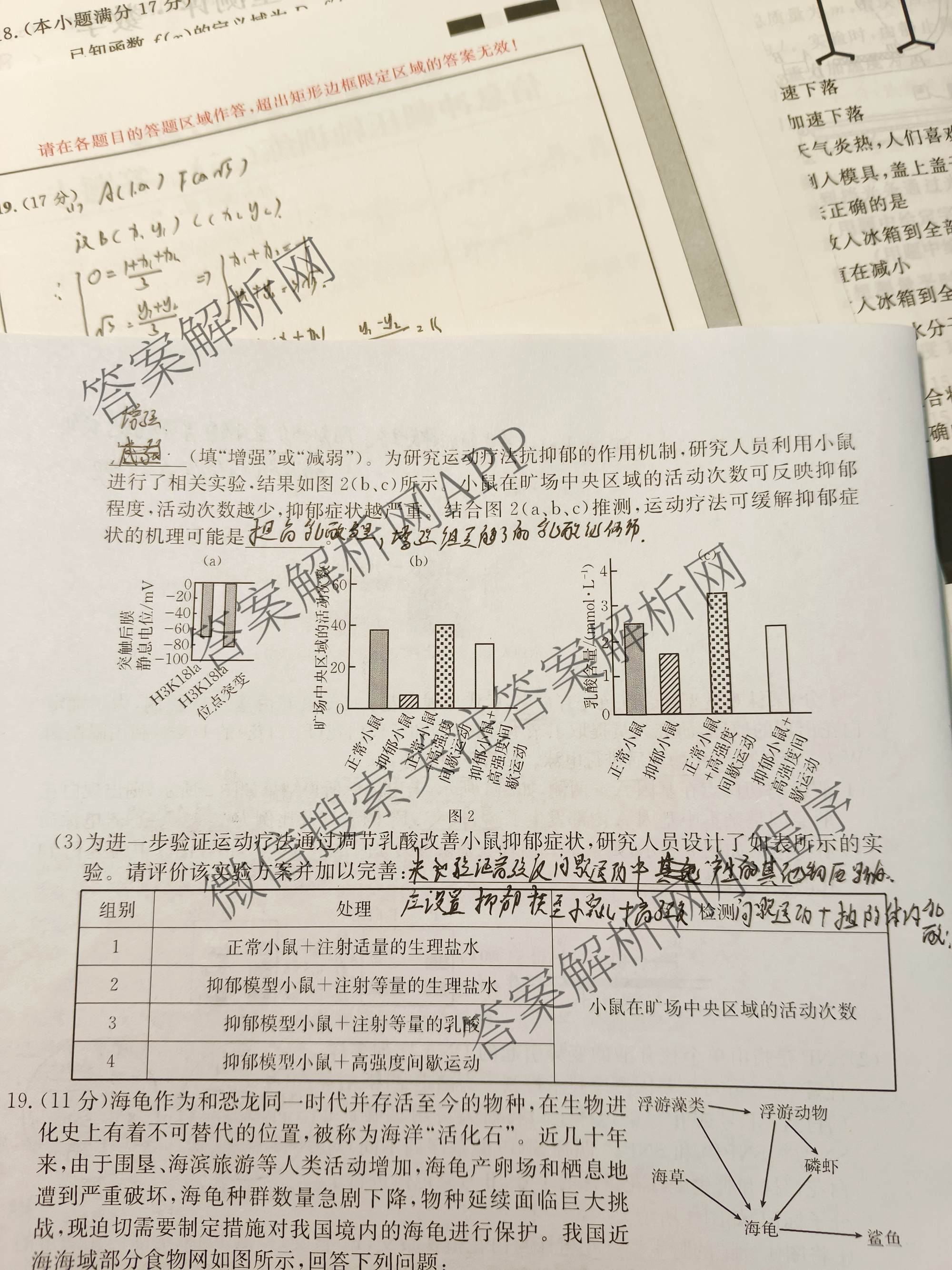 2026高考总复课堂测评 信息冲刺压轴训练(三)3各科答案及试卷（含化学(10) 地理(2) 物理(8)等21份）物理试题