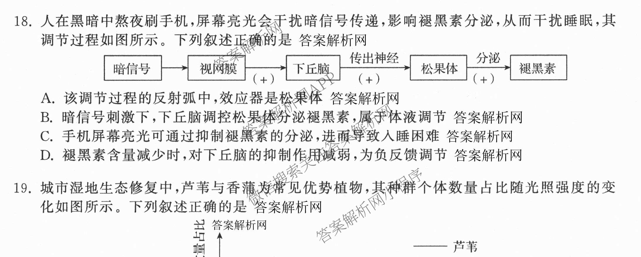 天舟高考衡中同卷2026年普通高等学校招生全国统一考试模拟信息卷(六)6各科答案及试卷: 含地理(GY)、语文(通用版)、政治(河南版)试卷解析生物试题