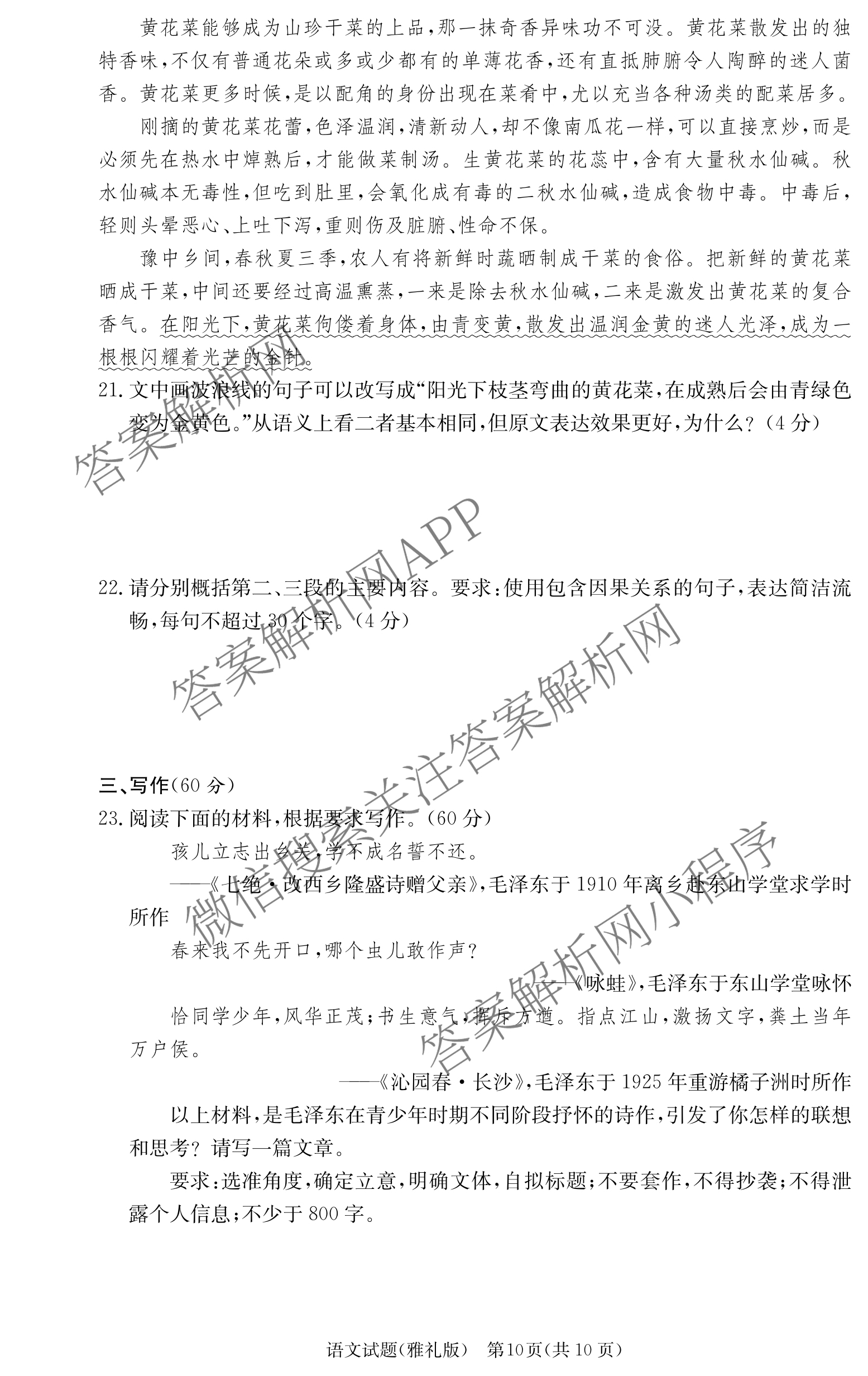 炎德英才大联考雅礼中学2026届高三月考试卷(一)1各科答案及试卷(已更新政治、历史、物理等9份)语文试题