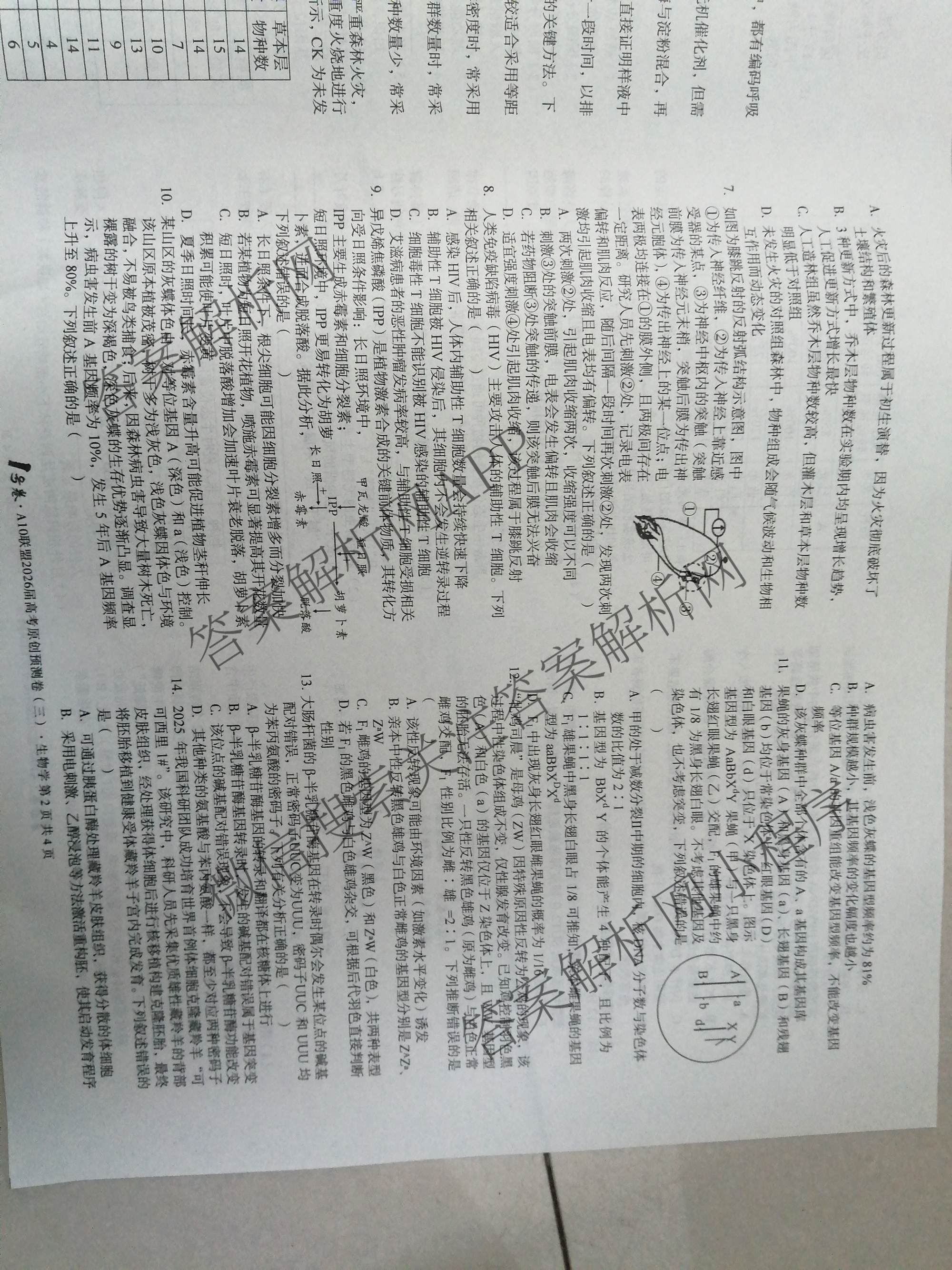 1号卷A10联盟2026届高考原创预测卷(三)3试卷及答案汇总: 含语文、物理、政治试卷解析生物试题