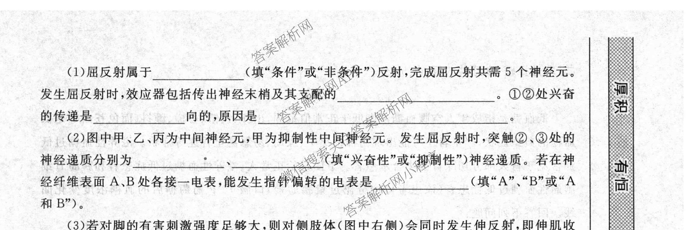 衡水金卷先享题月考卷2025-2026学年度上学期高二年级二调考试（含化学(人教版) 历史 语文等）生物试题