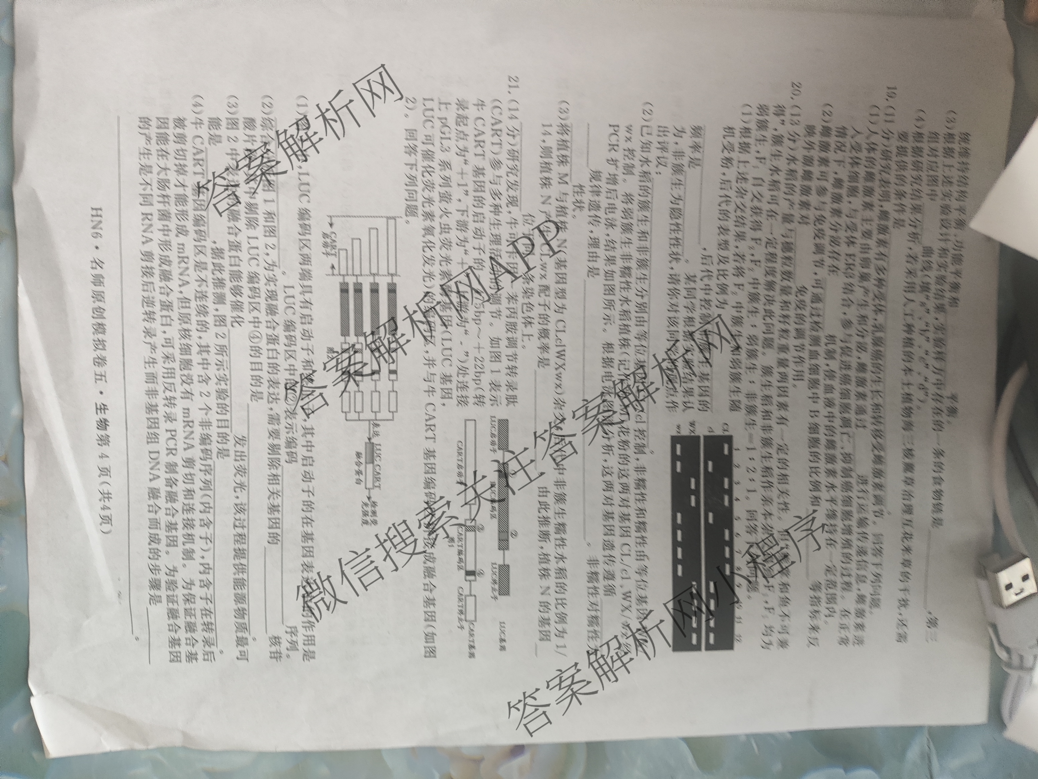 2026届高三总复习名师原创模拟(五)5(已更新地理(XS6J) 生物(XS6JG) 物理(XS6J)等39份)生物试题