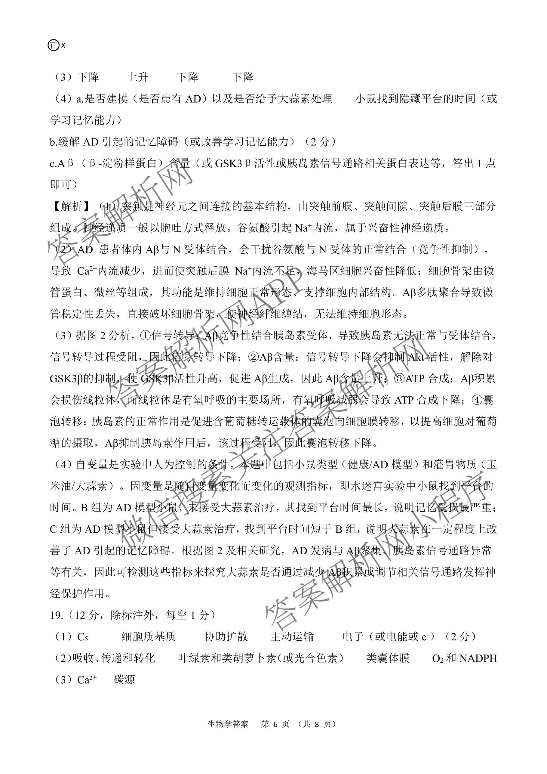 百师联盟2026届高三开年大联考(3.5)(已更新数学(百C)、历史(百N)、历史(百G)等81份)生物答案