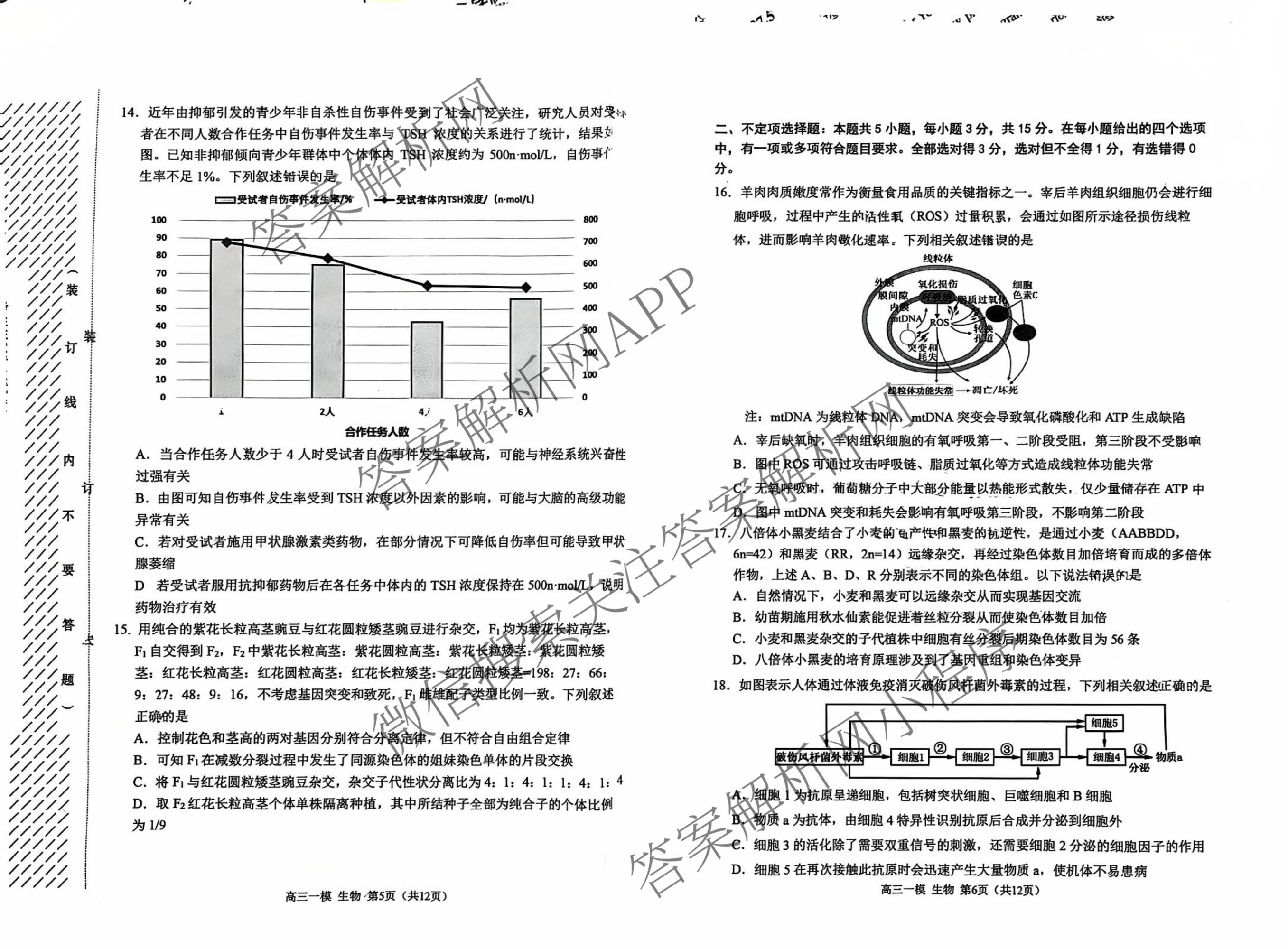 黑龙江省哈三中2026年高三学年第一次模拟考试 （含数学、化学、语文等9份）生物试题