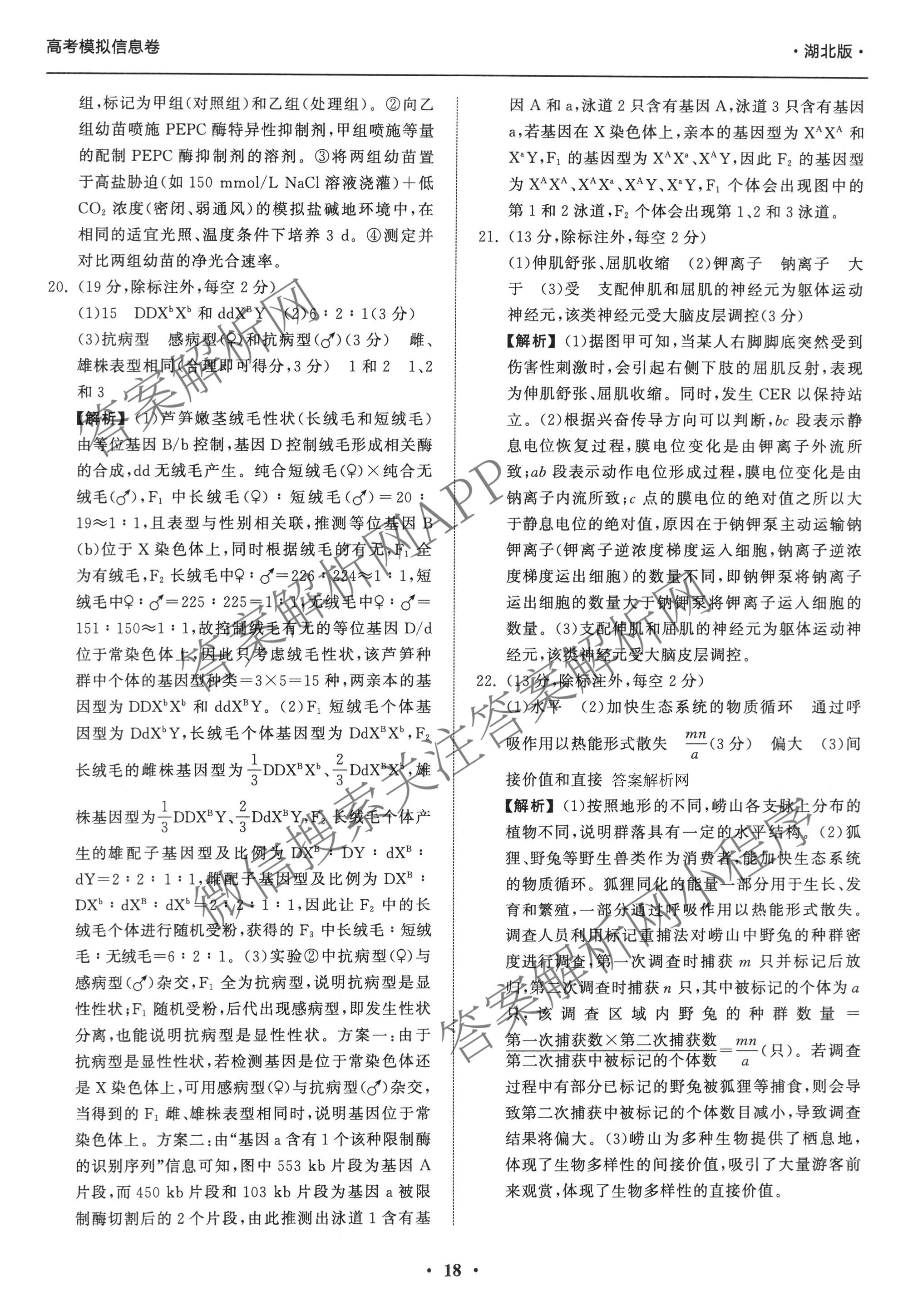 天舟高考衡中同卷2026年普通高等学校招生全国统一考试模拟信息卷(五)5试卷及答案汇总（含化学(WG)、化学(WY)、物理(山东版)等）生物答案