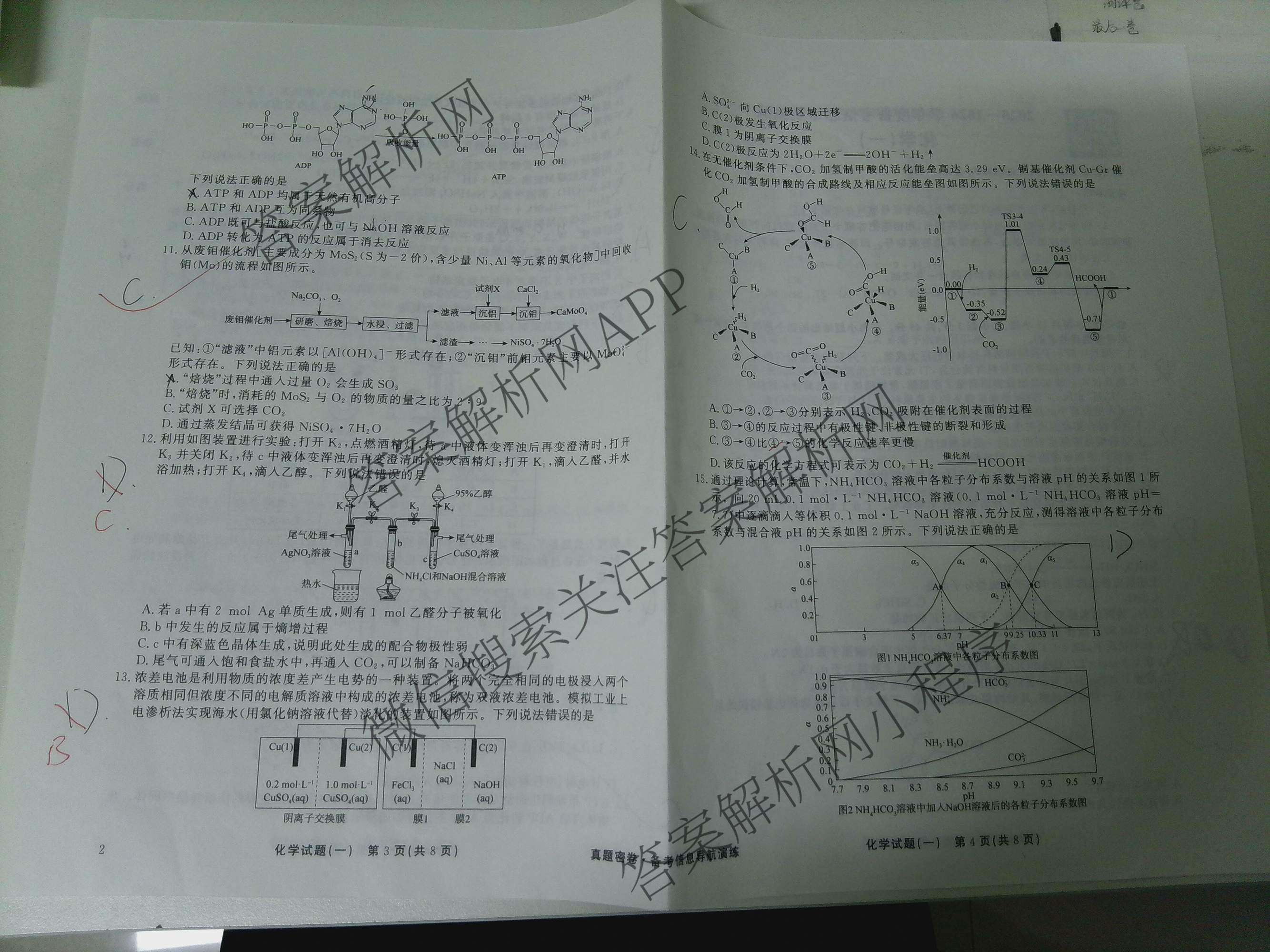 真题密卷2025-2026学年度备考信息导航演练(一)1试卷及答案汇总（含化学(7) 英语(BT) 语文(A)等）化学试题