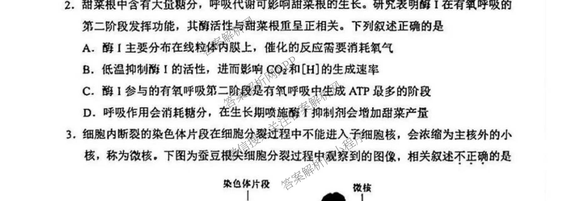 石景山区2026年高三统一练(3月)试卷及答案汇总（含政治 英语 语文等9份）生物试题