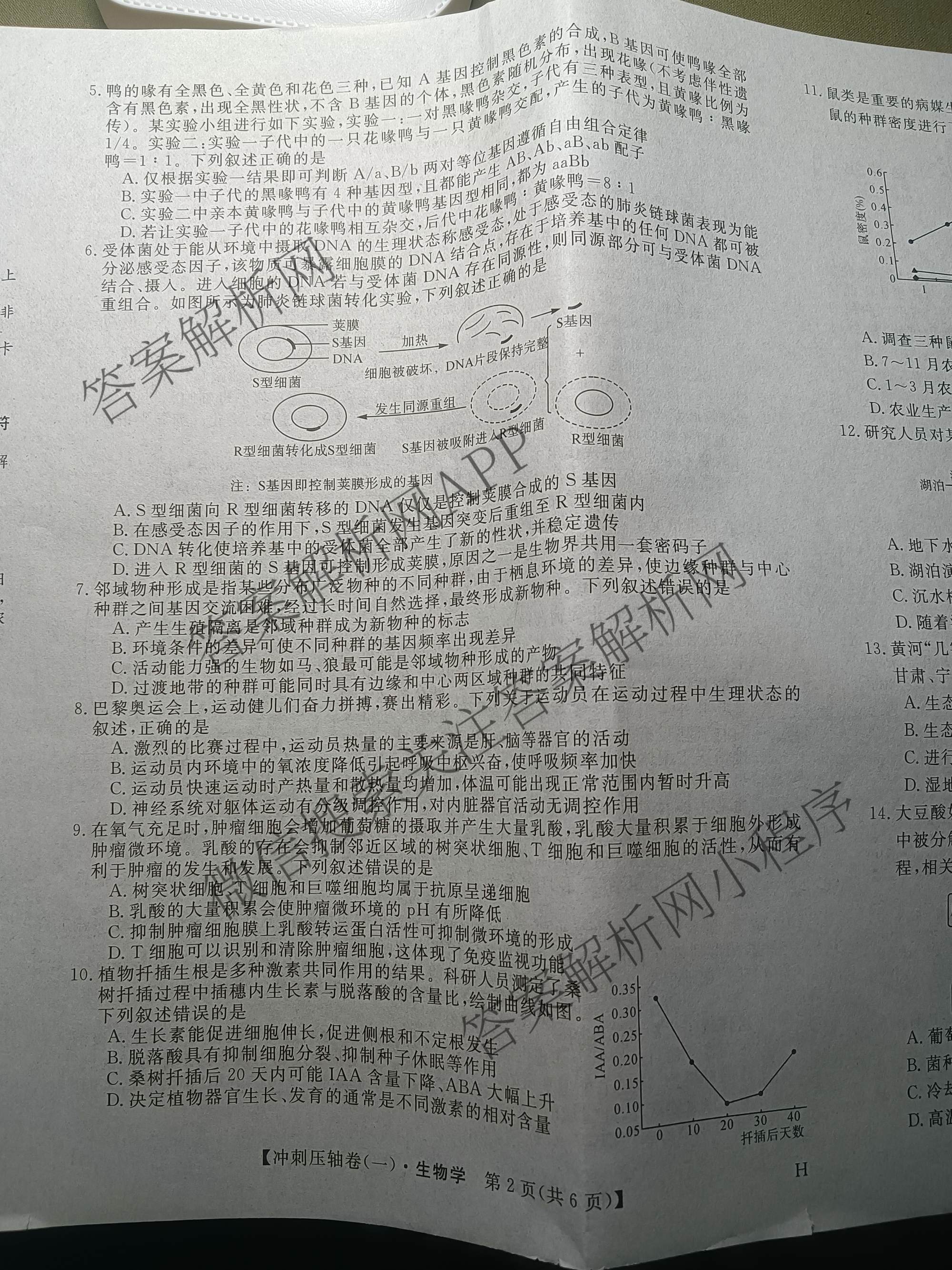 2025年普通高校招生考试冲刺压轴卷(一)1各科答案及试卷(已更新历史(K在括号外)、语文(X在括号外)、生物(A在括号外)等58份)生物试题
