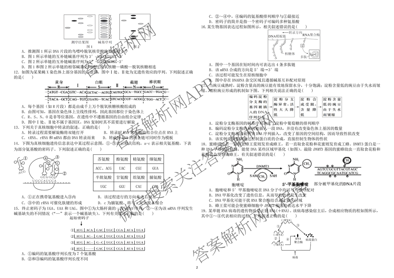 哈师大附中2024~2025学年度下学期高一期末考试各科答案及试卷: 含化学 历史 物理试卷解析生物试题