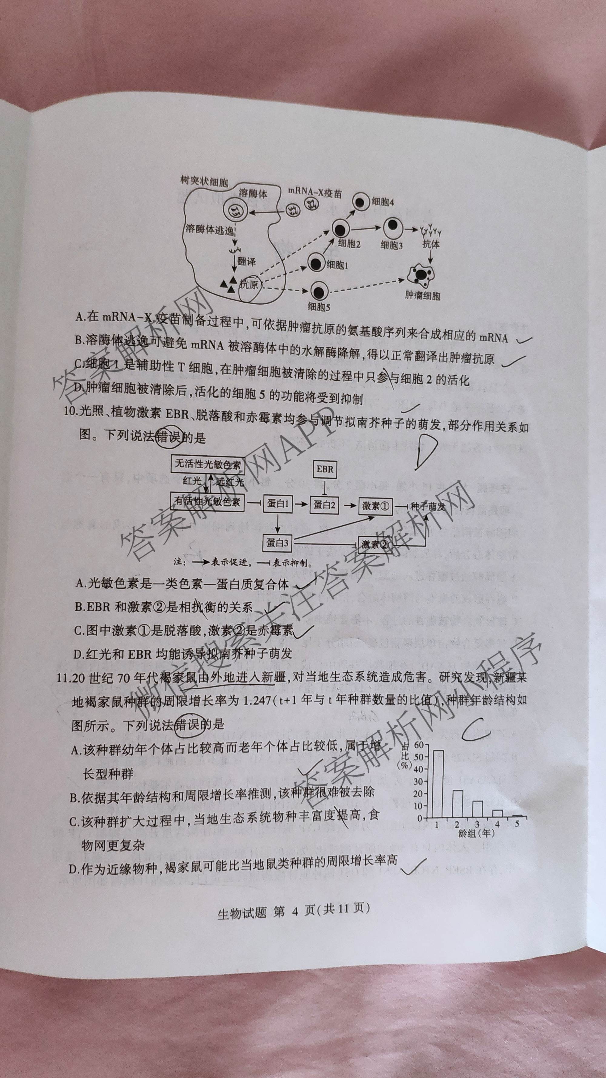 山东省临沂市2026年普通高等学校招生全国统一考试(模拟)2026.3试卷及答案汇总（9科全）生物试题