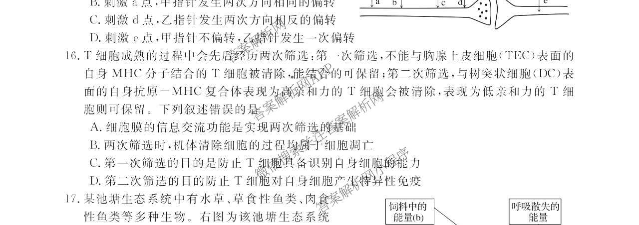 浙江强基联盟2025年12月高二联考试卷及答案汇总（含历史、物理、生物等11份）生物试题