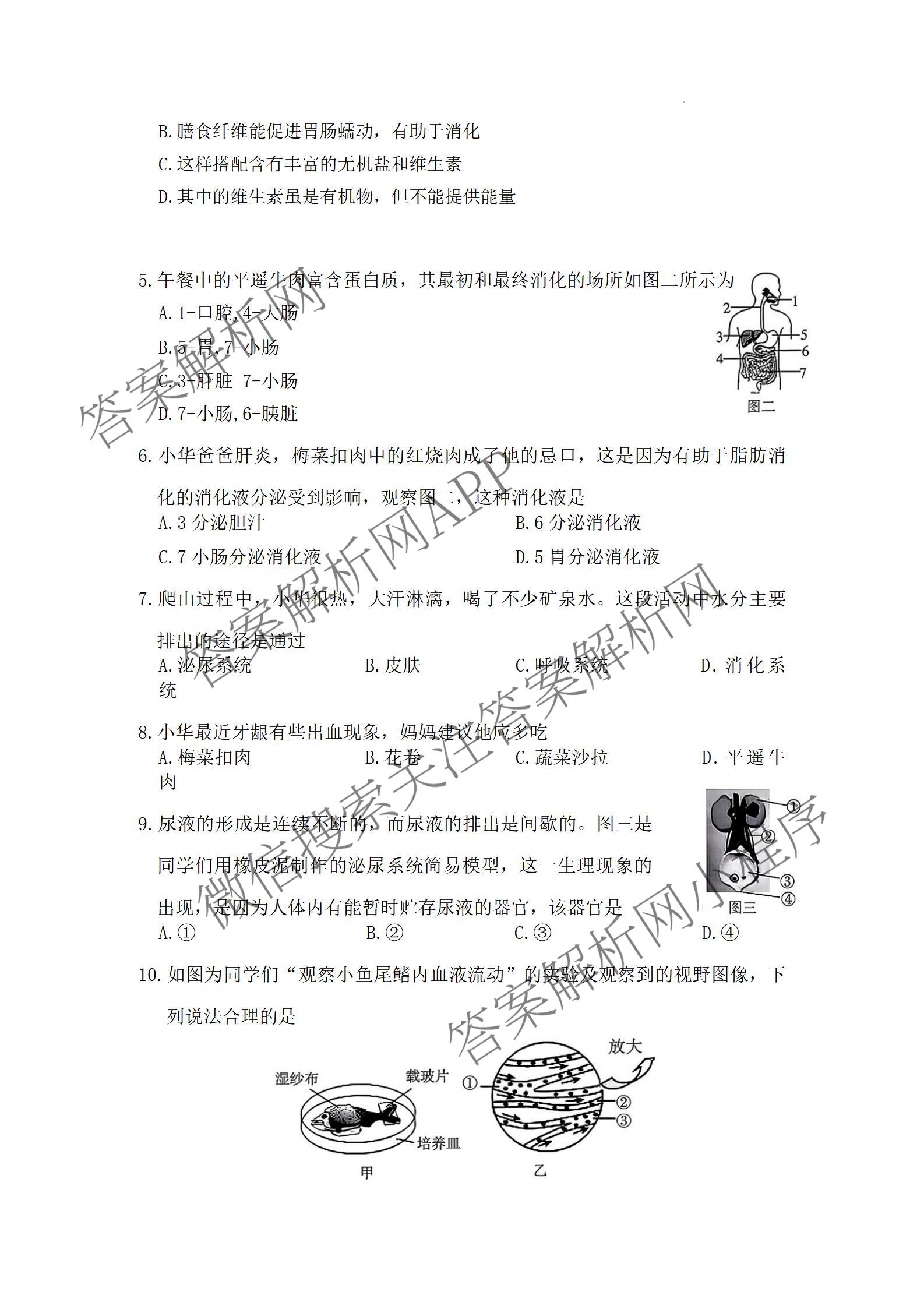 运城市2025~2026学年八年级第二次阶段性考试各科答案及试卷(已更新语文、数学、地理等8份)生物试题