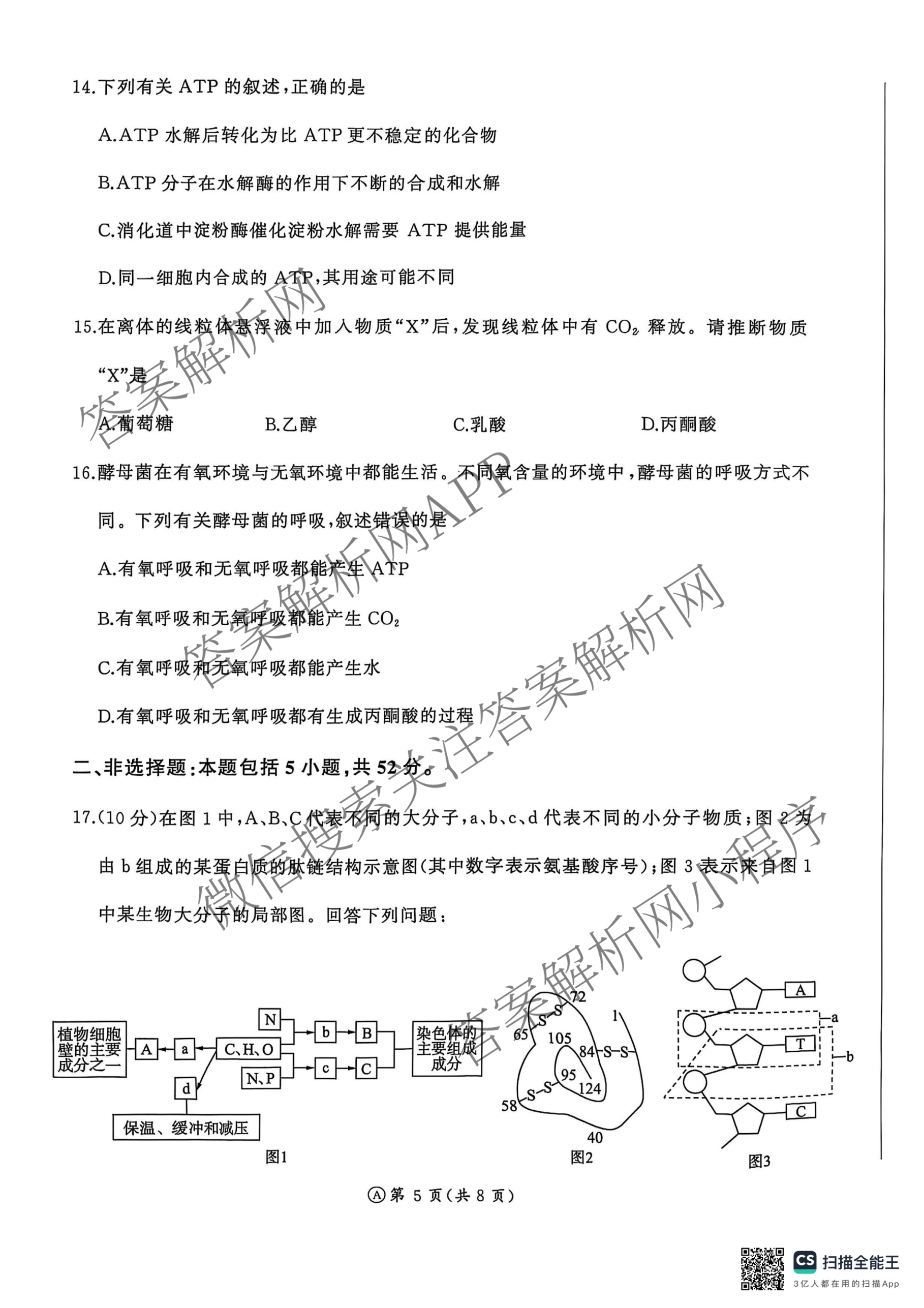 百师联盟2025-2026学年高一年级12月阶段检测试卷及答案汇总: 含生物(A) 语文 数学试卷解析生物试题
