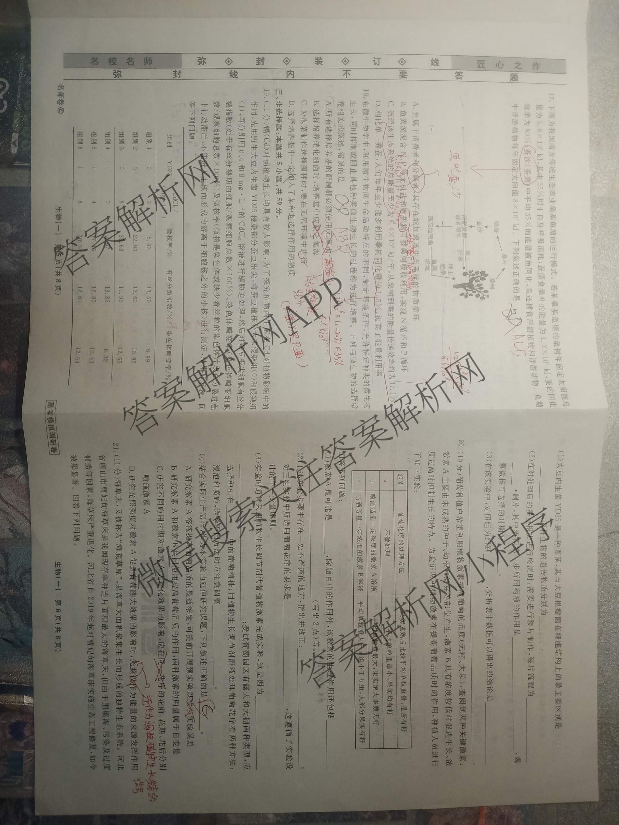 衡水名师卷高考模拟调研卷 2026年普通高等学校招生全国统一考试模拟试题(一)1各科答案及试卷（21科全）生物试题