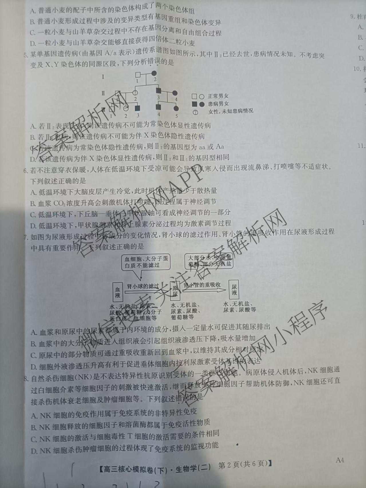 九师联盟2024~2025学年高三核心模拟卷(下)(二)2试卷及答案汇总: 含地理(D4) 政治(JX) 生物(JX)试卷解析生物试题