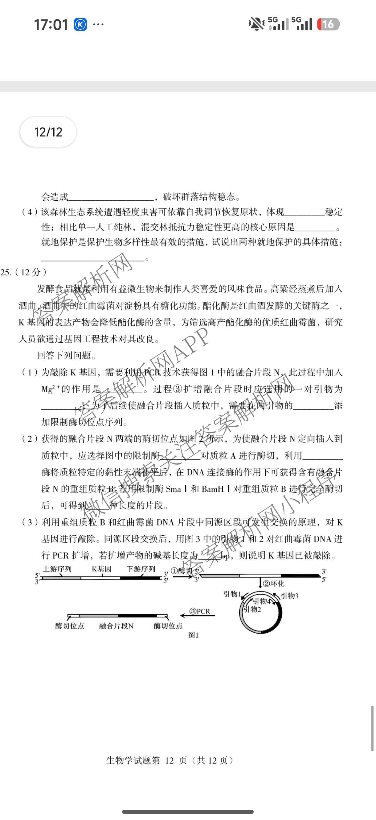 言蹊联考2027届新高三适应性检测(8.8)试卷及答案汇总(已更新政治、生物、英语等9份)生物试题