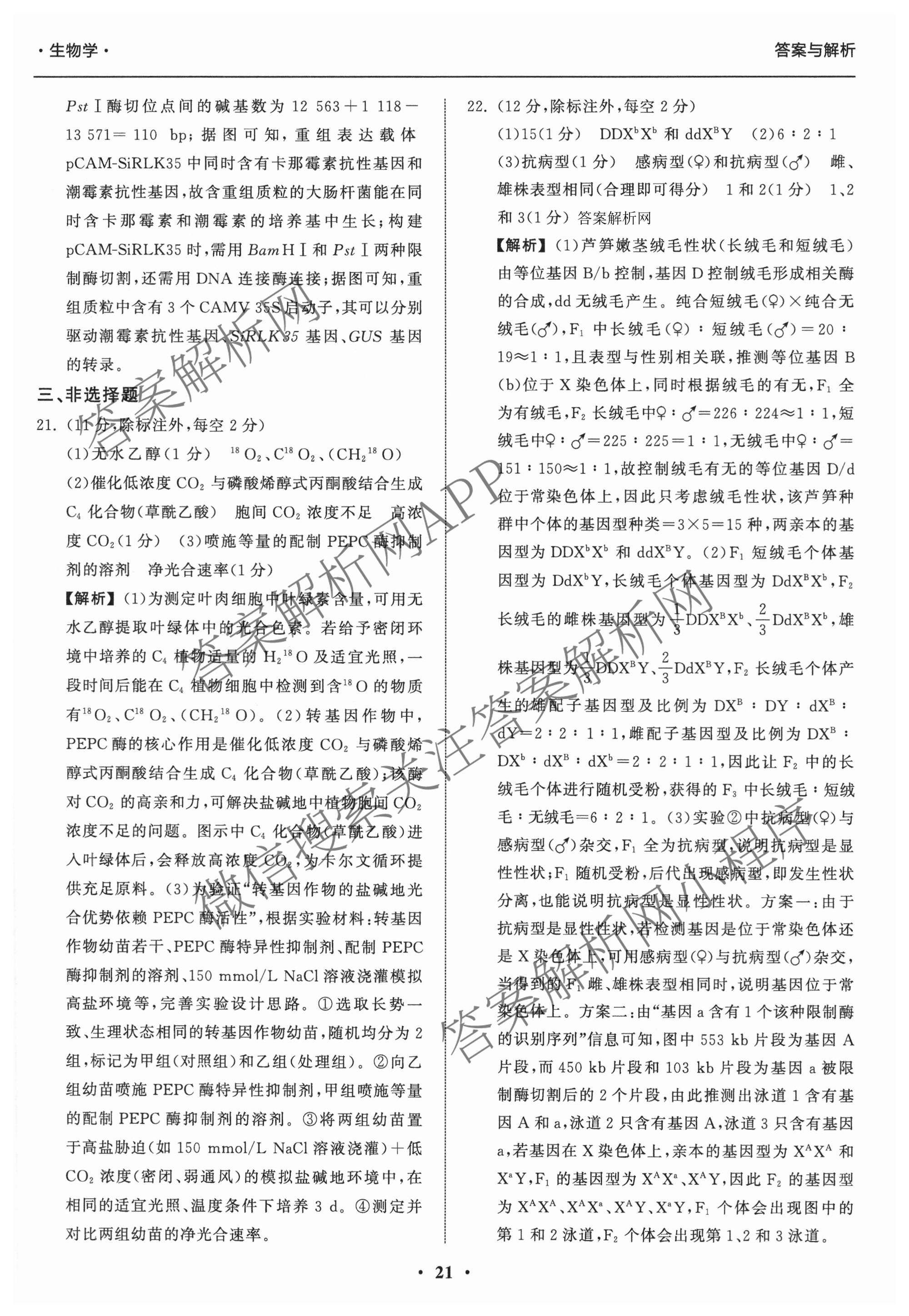 天舟高考衡中同卷2026年普通高等学校招生全国统一考试模拟信息卷(五)5试卷及答案汇总（含化学(WG)、化学(WY)、物理(山东版)等）生物答案