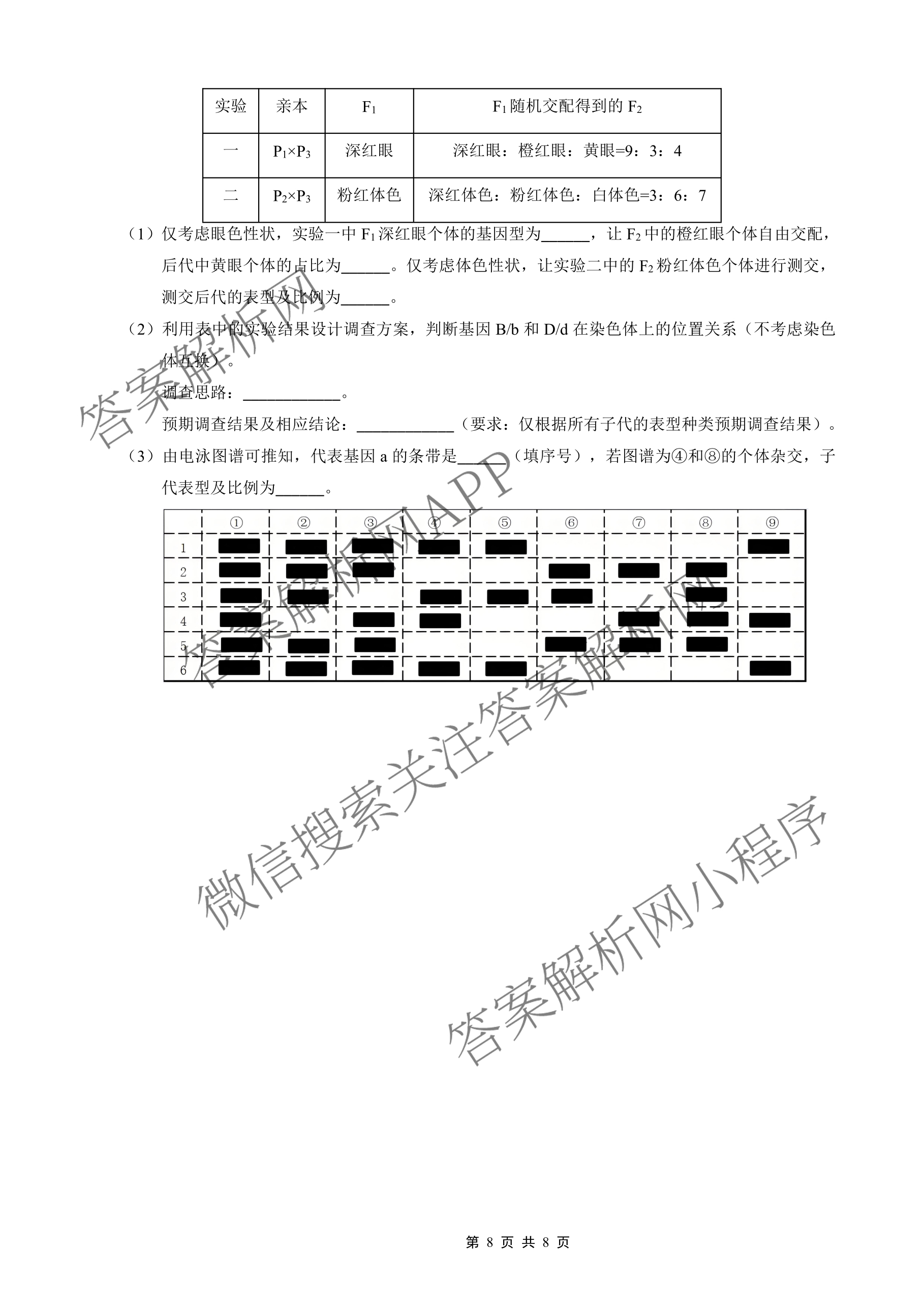 重庆外国语学校2026届高三(上)10月月考(四)各科答案及试卷(已更新数学 历史 物理等9份)生物试题 重庆外国语学校2026届高三(上)10月月考(四)各科答案及试卷(已更新数学 历史 物理等9份)生物试题
