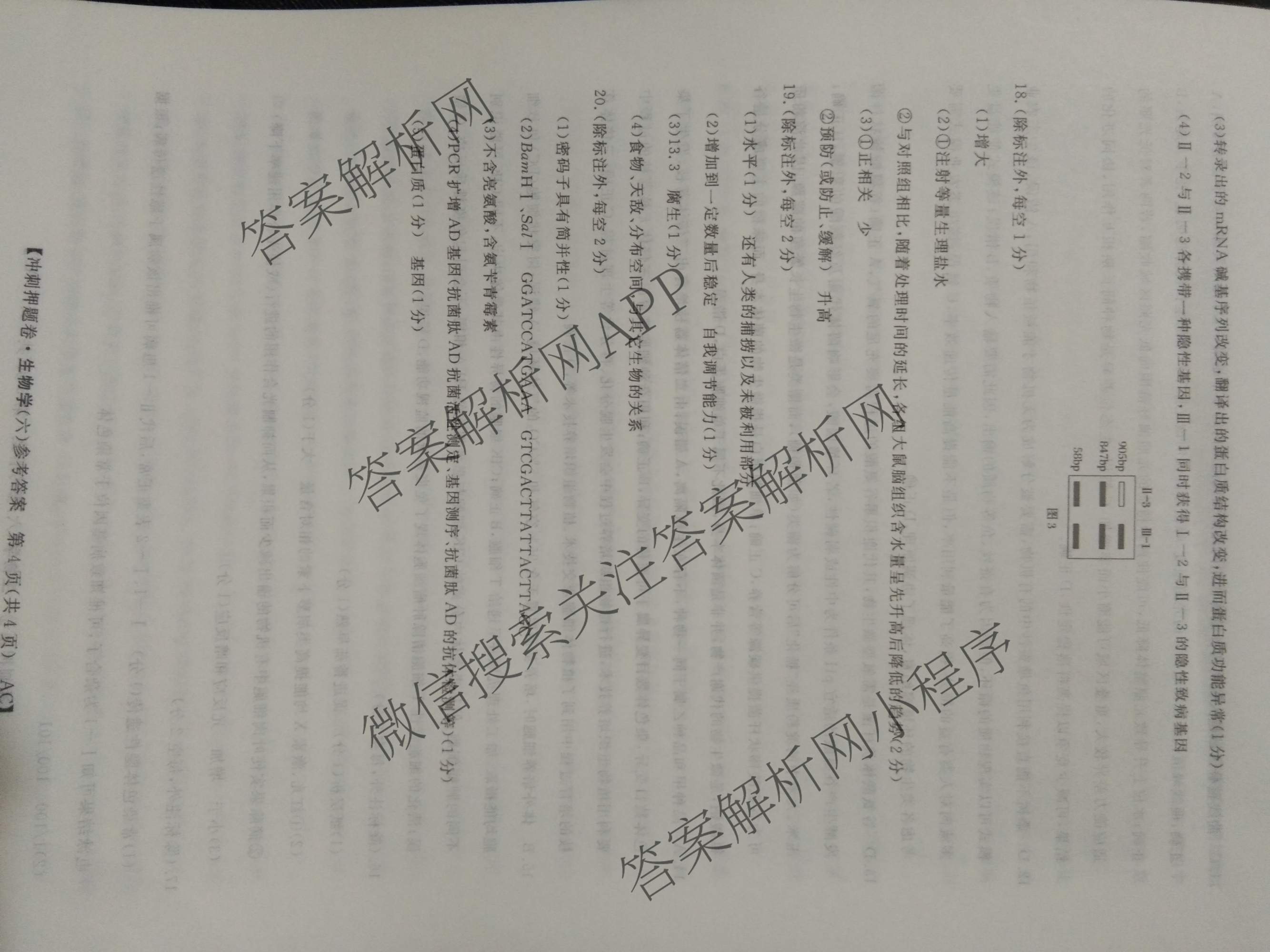 2026普通高等学校招生全国统一考试冲刺押题卷(六)6各科答案及试卷（含数学(B)、语文、生物(AC)等）生物答案