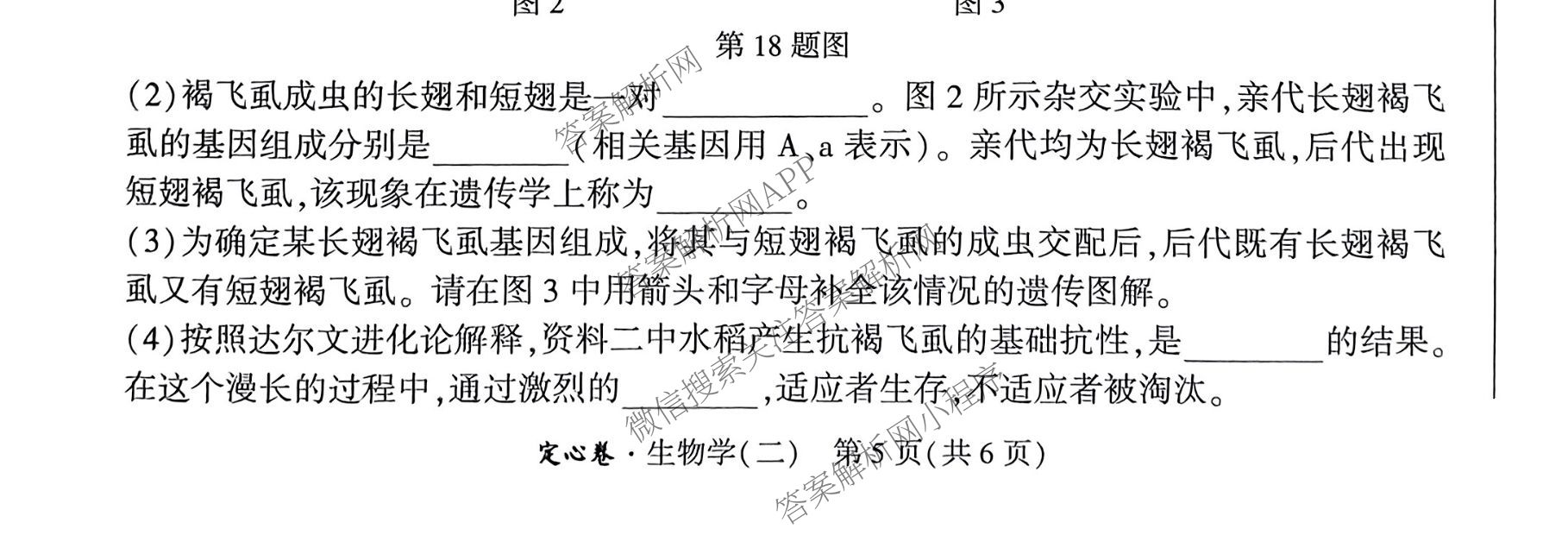 2025年陕西省初中学业水考试定心卷各科答案及试卷: 含化学、生物(二)、道德与法治试卷解析生物试题