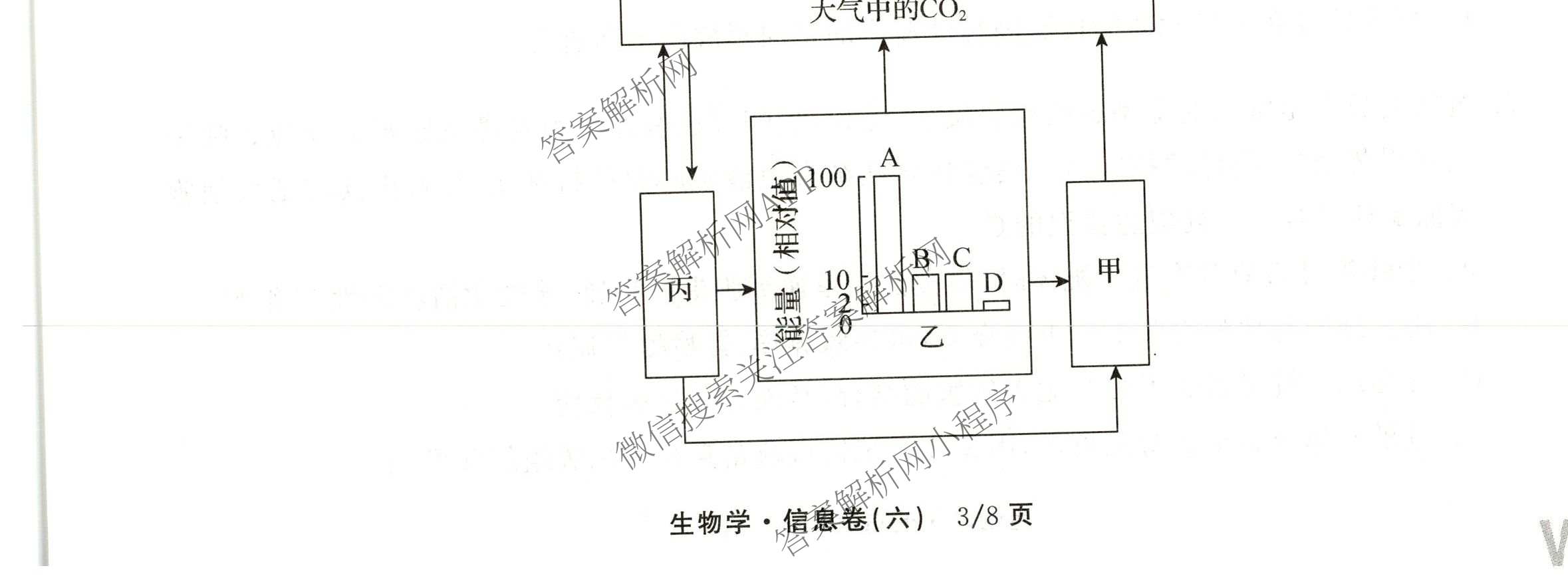 天舟高考衡中同卷2026年普通高等学校招生全国统一考试模拟信息卷(六)6各科答案及试卷: 含地理(GY)、语文(通用版)、政治(河南版)试卷解析生物试题