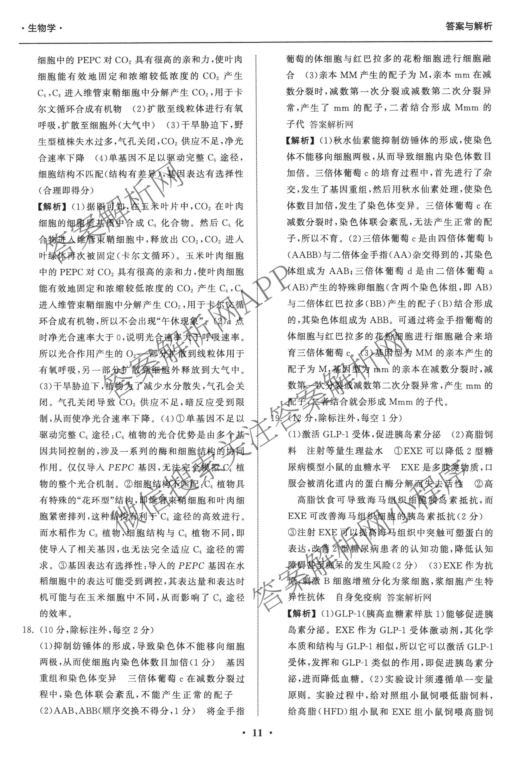 天舟高考衡中同卷2026年普通高等学校招生全国统一考试模拟信息卷(三)3（含历史(HJ) 地理(GY) 数学(无字母)等）生物答案