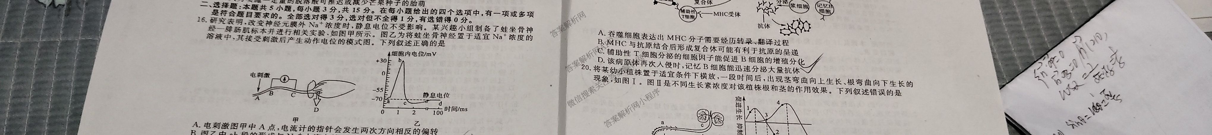 吉林省2025~2026学年度高二第一学期期中考试(6066B)各科答案及试卷(9科全)生物试题 吉林省2025~2026学年度高二第一学期期中考试(6066B)各科答案及试卷(9科全)生物试题