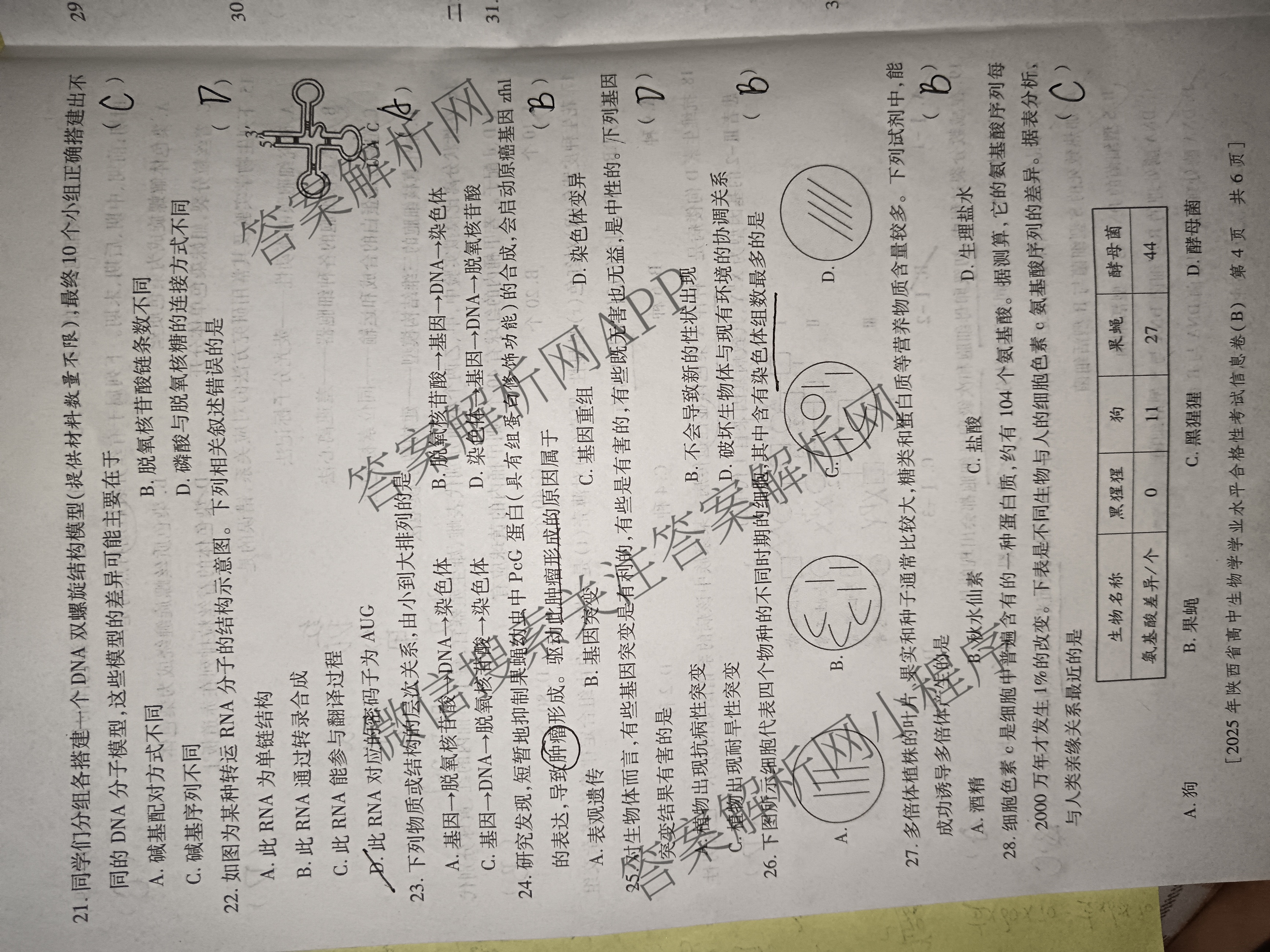 益卷2025年陕西省普通高中学业水合格性考试信息卷(B)各科答案及试卷（含生物 政治 英语等9份）生物试题