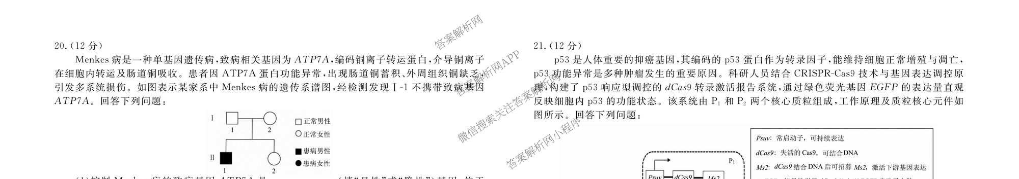 衡水金卷广东省2026届高三年级3月份学情诊断(八校联考)试卷及答案汇总（含日语 生物 物理等）生物试题